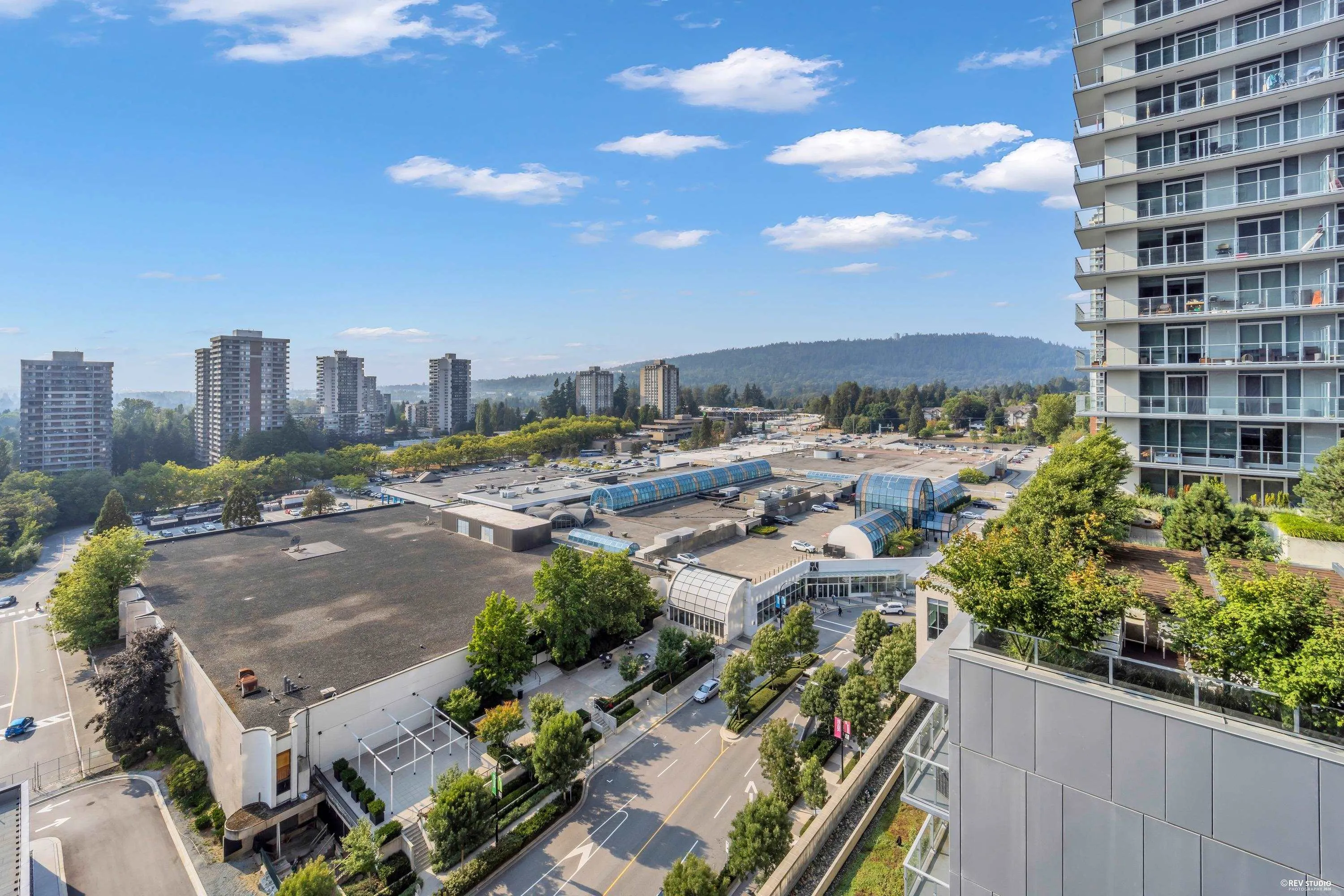 3833 Evergreen Place #911