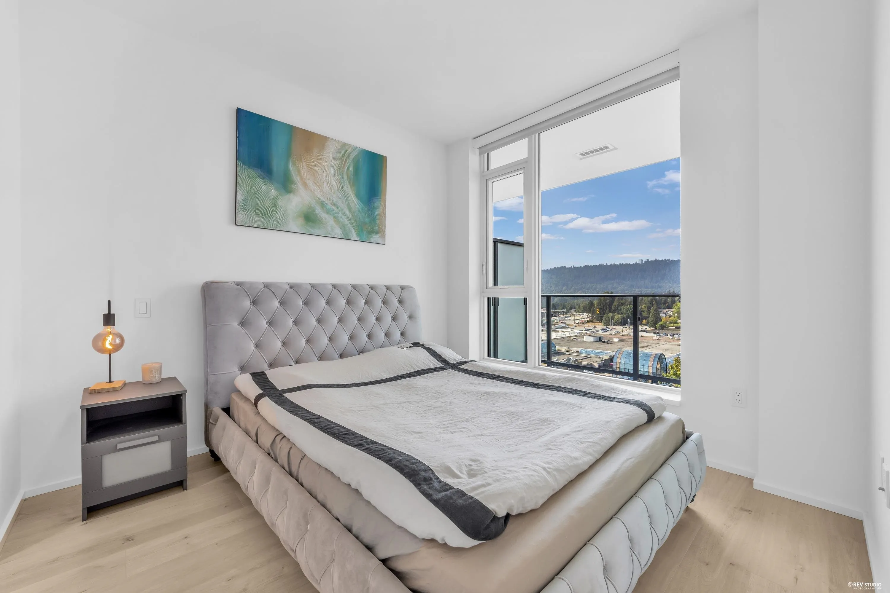 3833 Evergreen Place #911