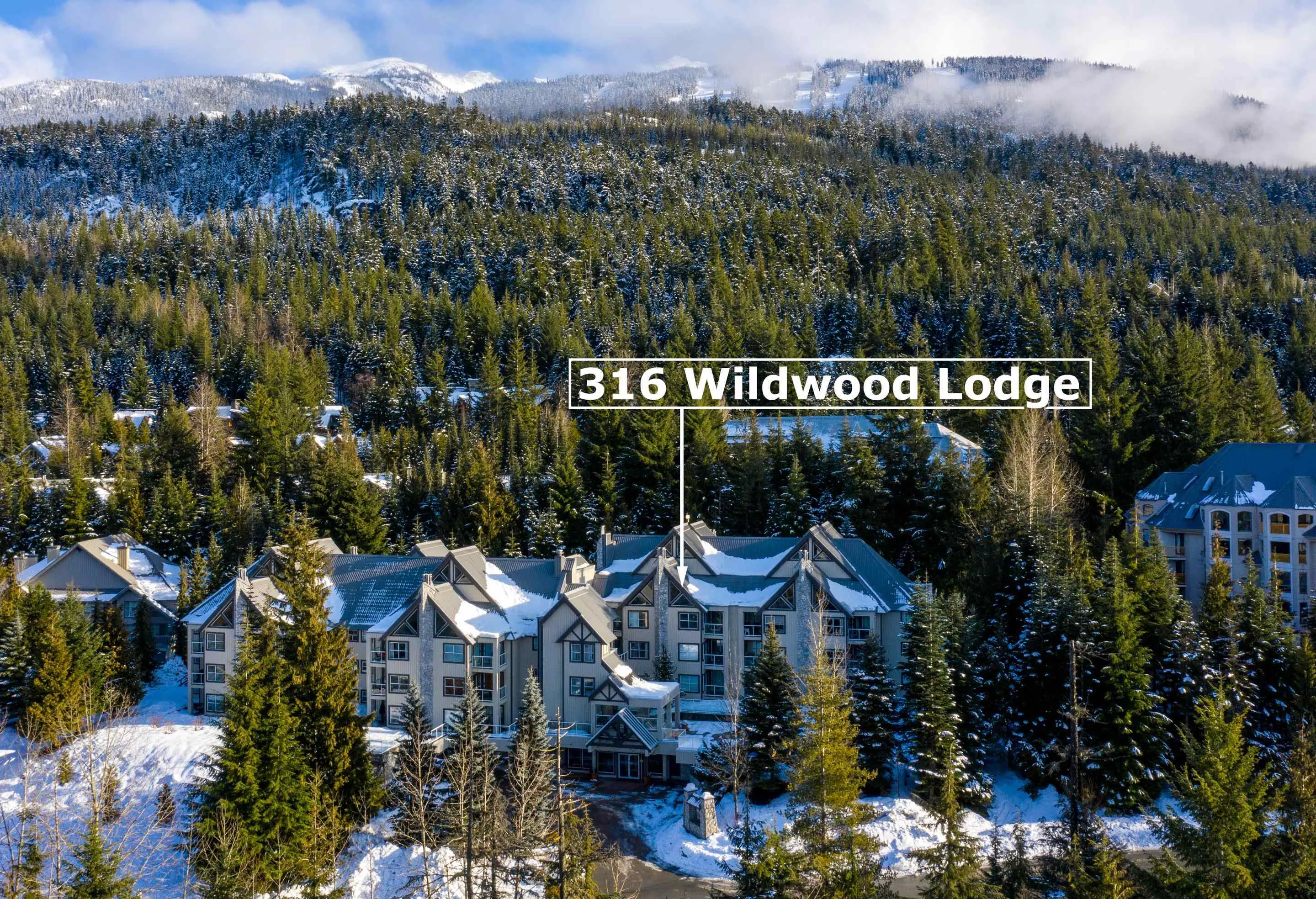 4749 Spearhead Drive #316
