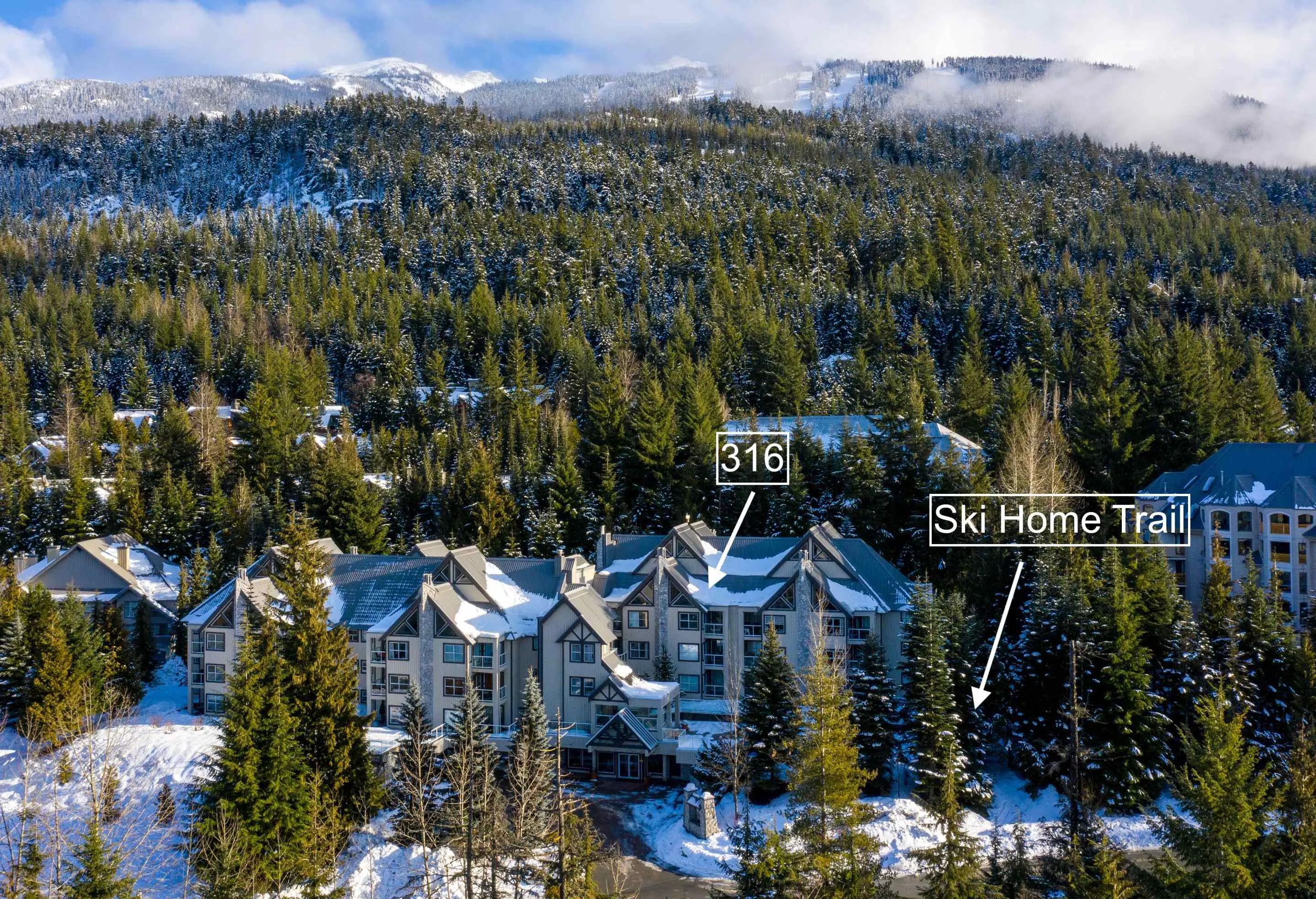 4749 Spearhead Drive #316