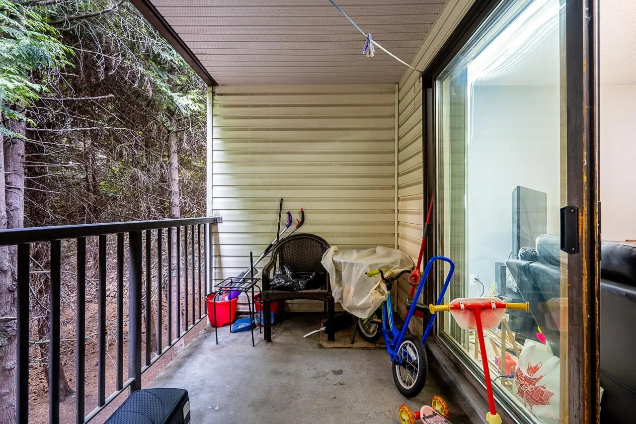 15238 100 Avenue #209