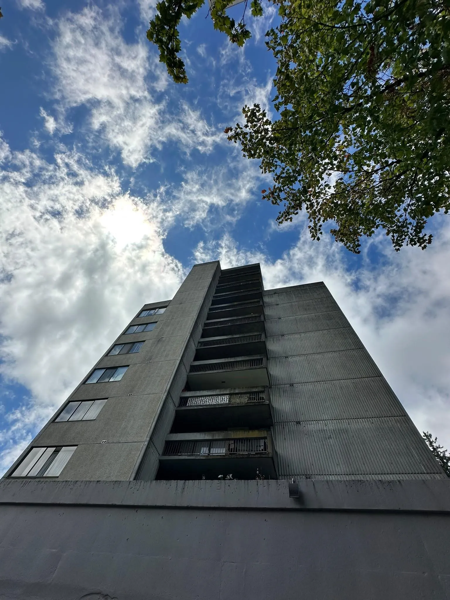 4105 Imperial Street #502