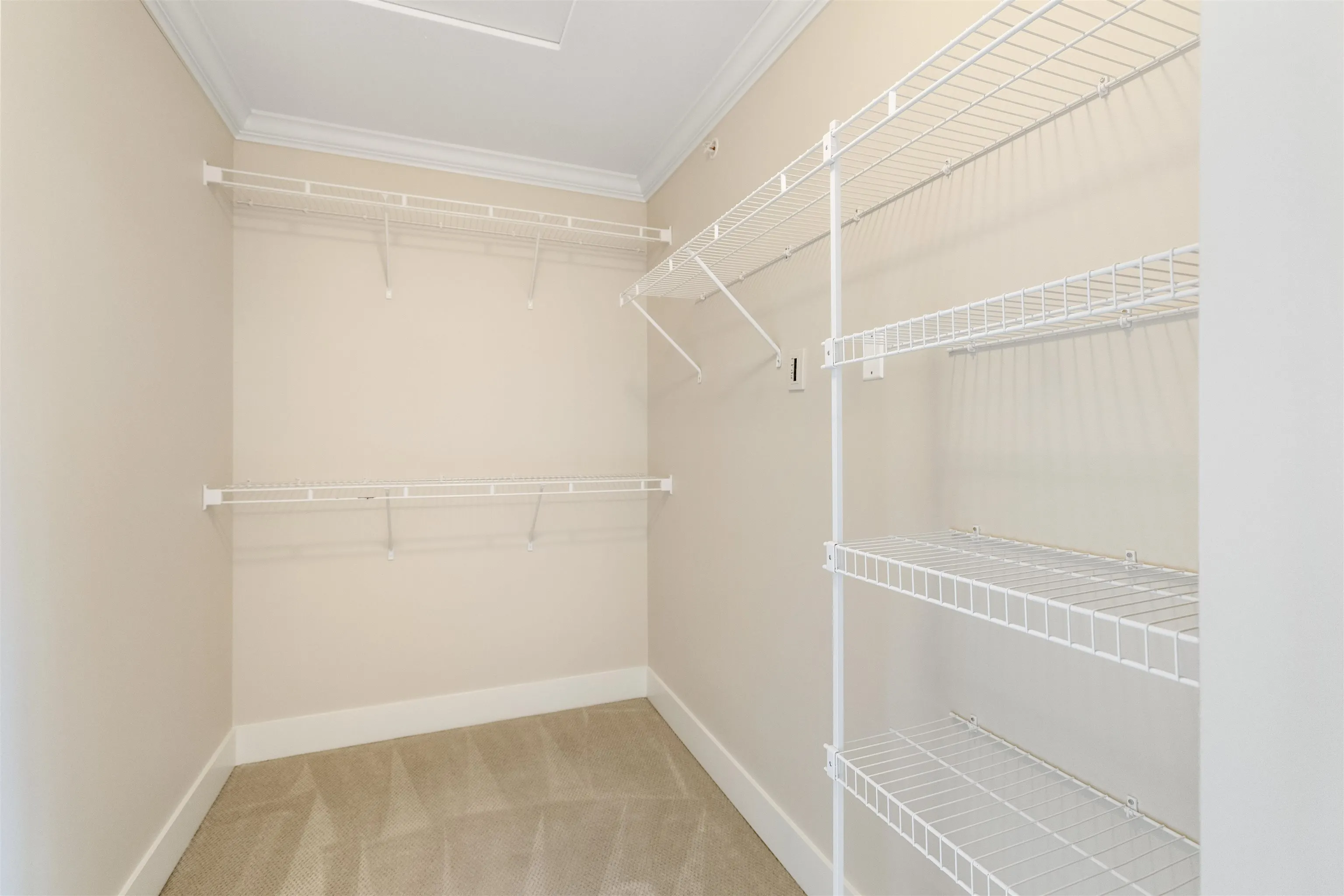 22225 50 Avenue #4