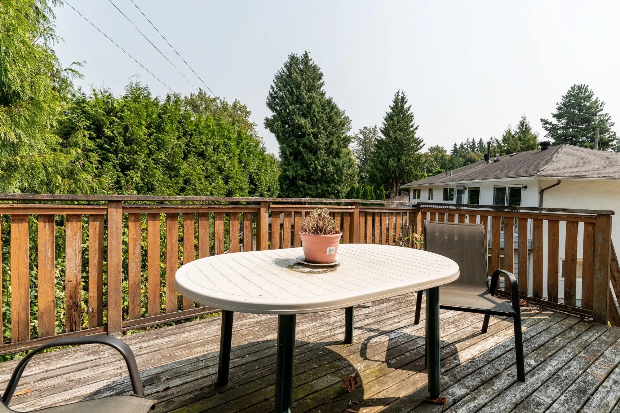 11004 Mcadam Road