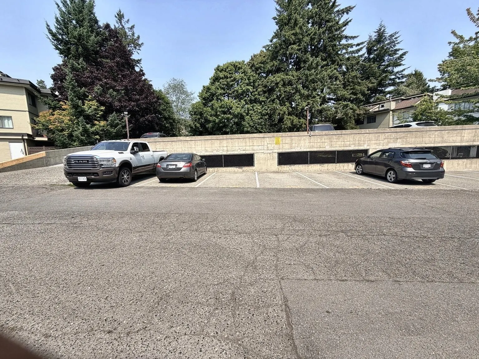 7131 133a Street #101