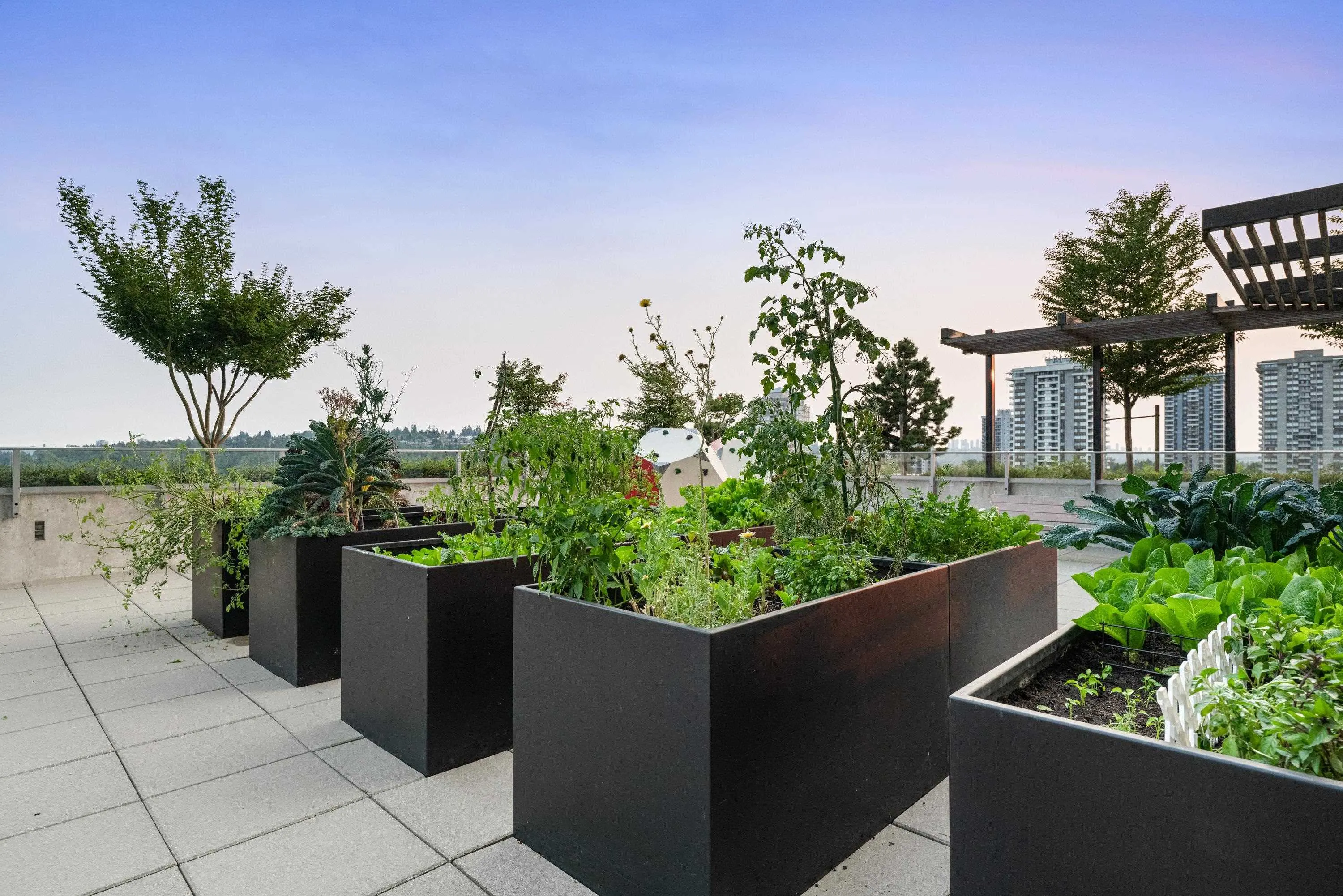 3833 Evergreen Place #1511