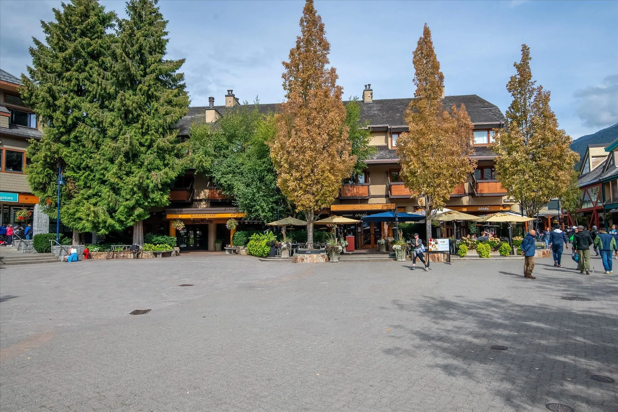 4220 Gateway Drive #229