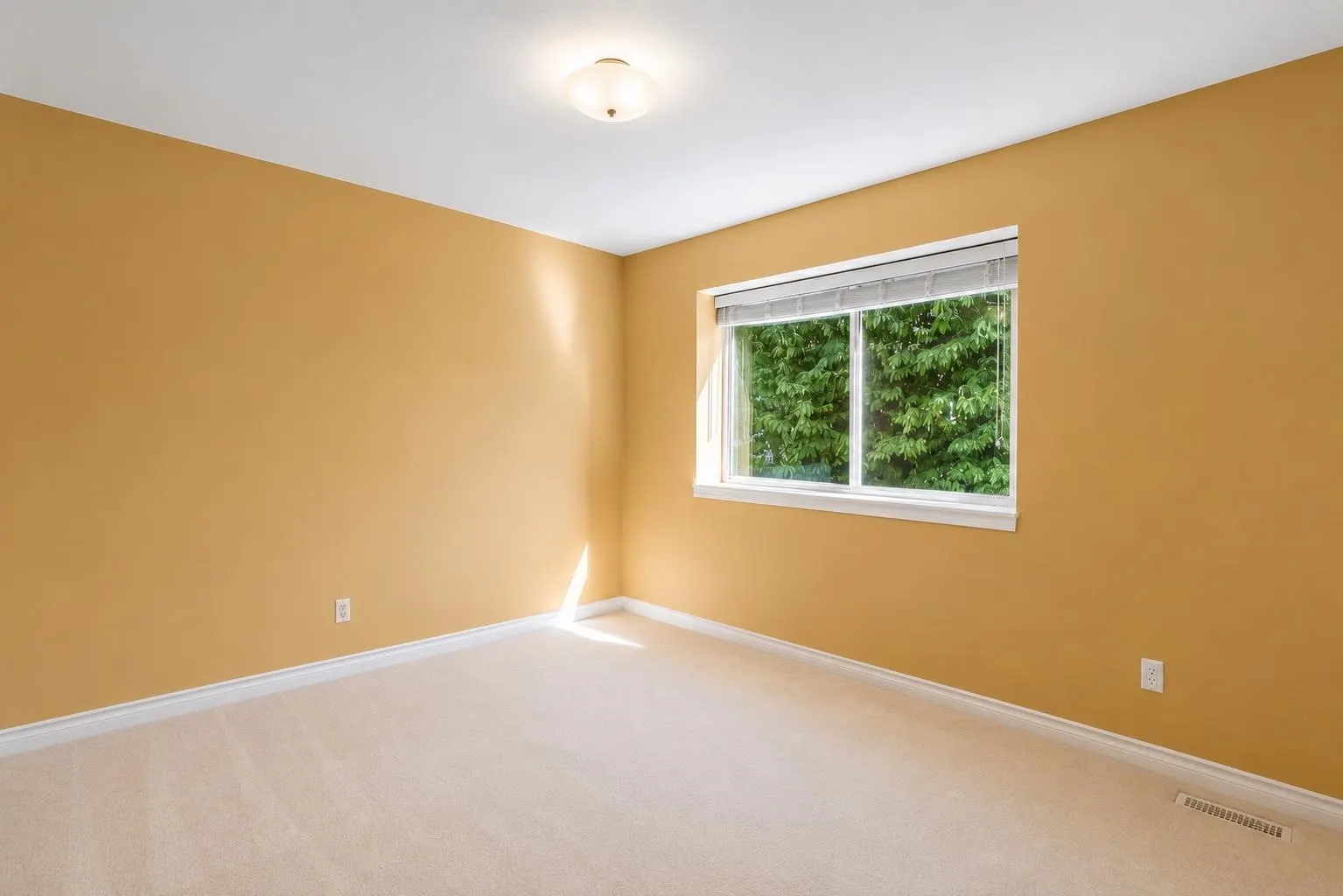 2607 Panorama Drive