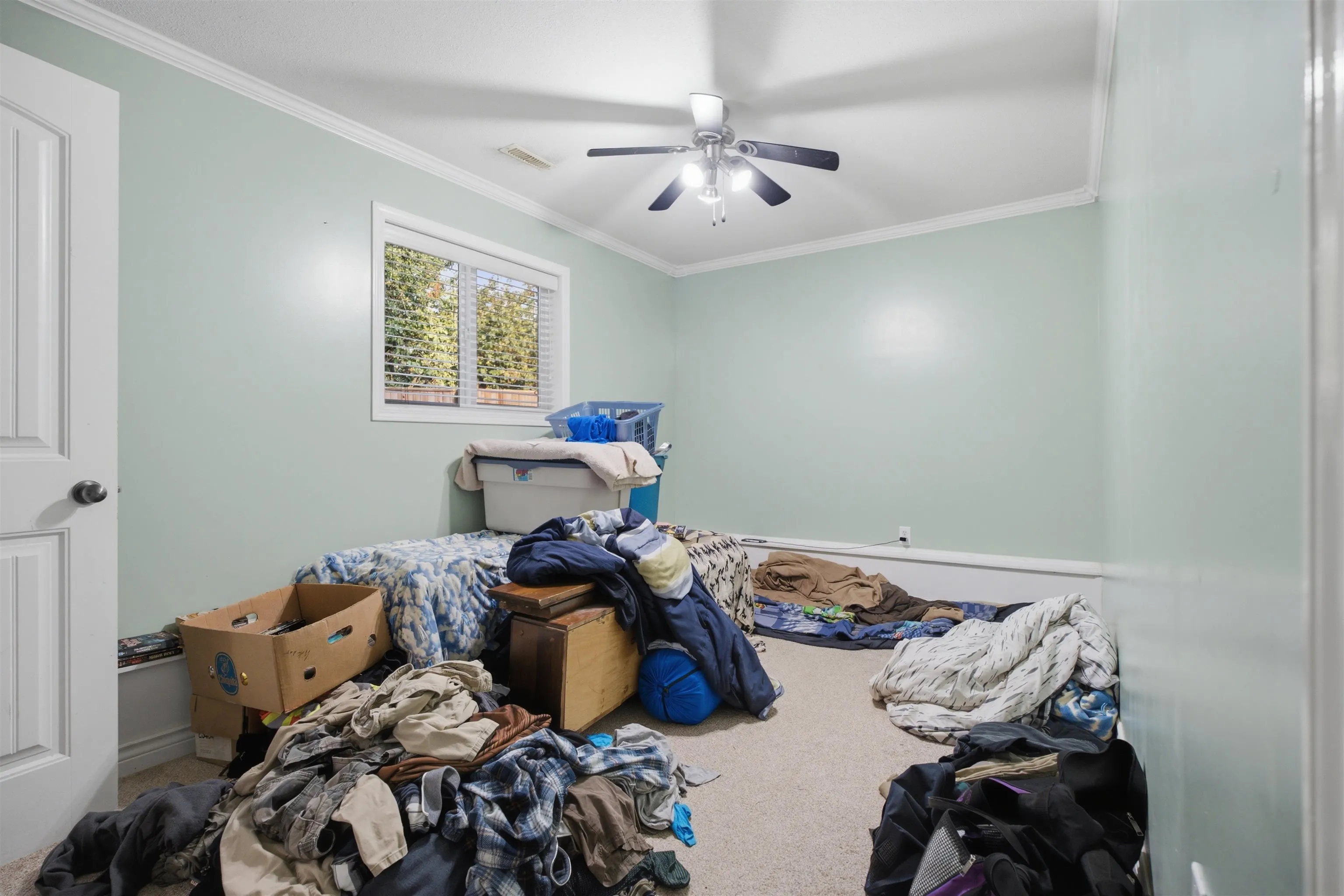 33883 Hollister Place