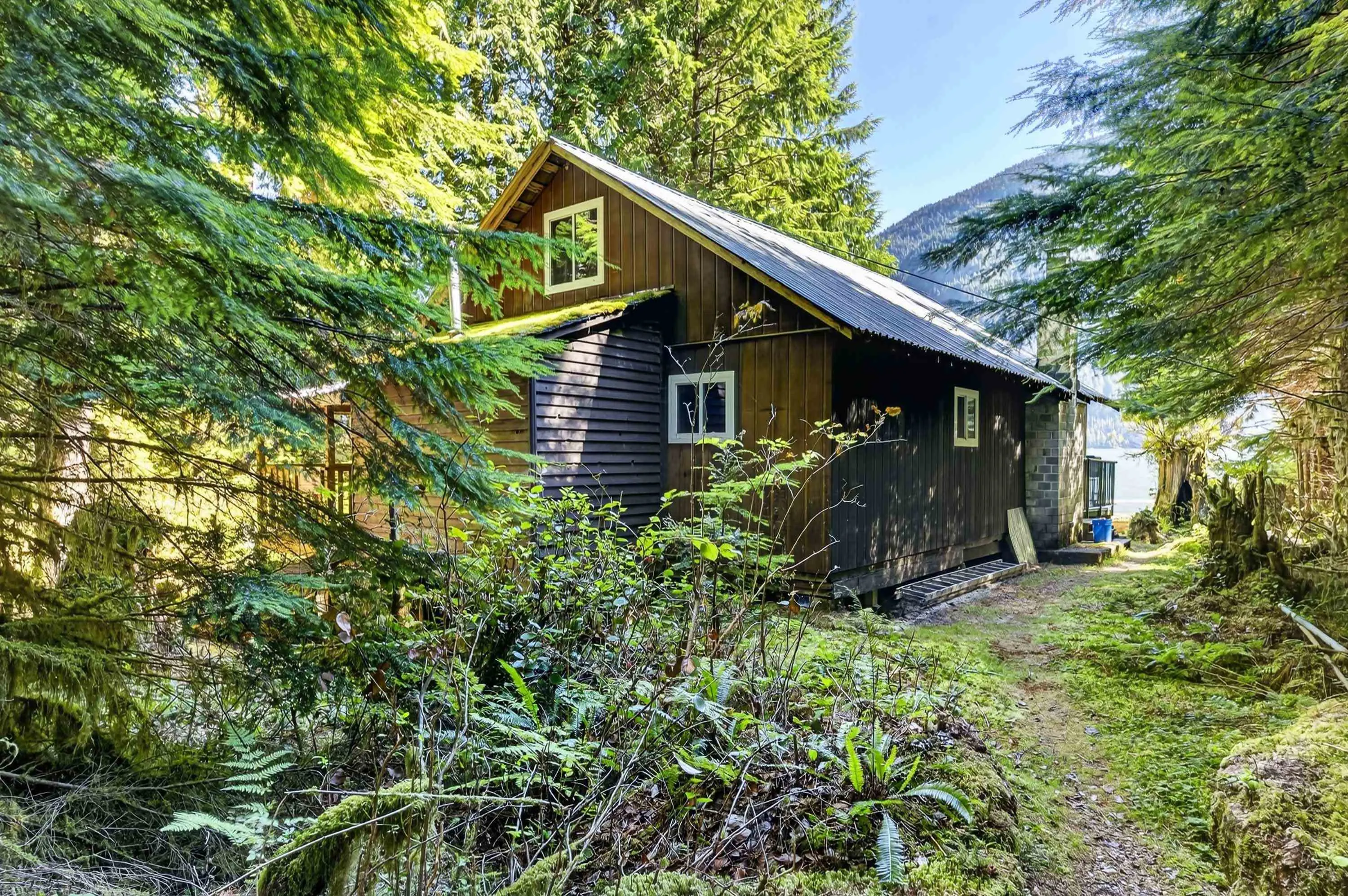 15 Debeck Creek