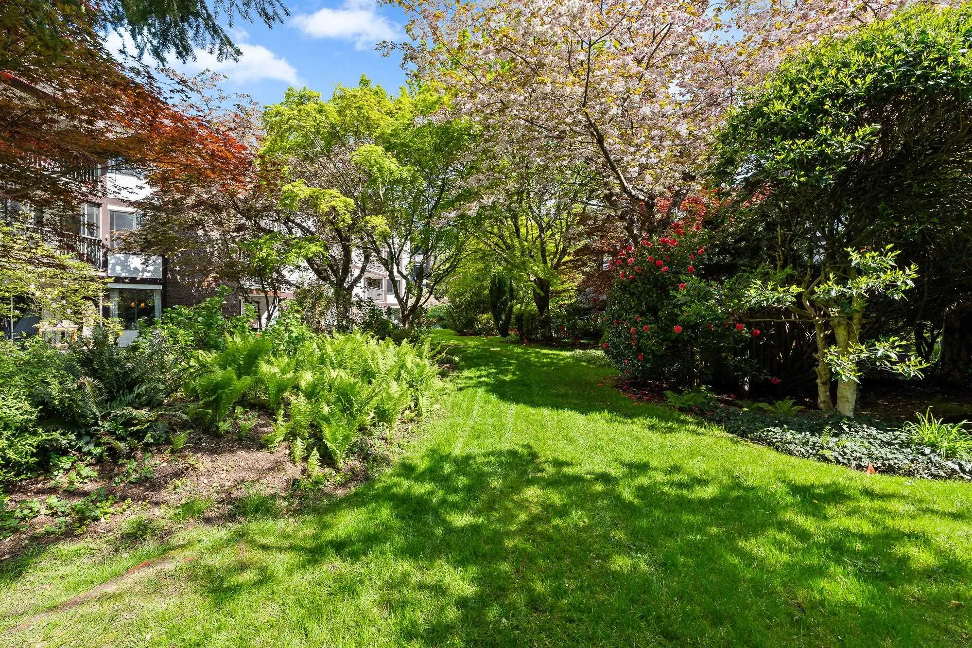 1520 Vidal Street #302