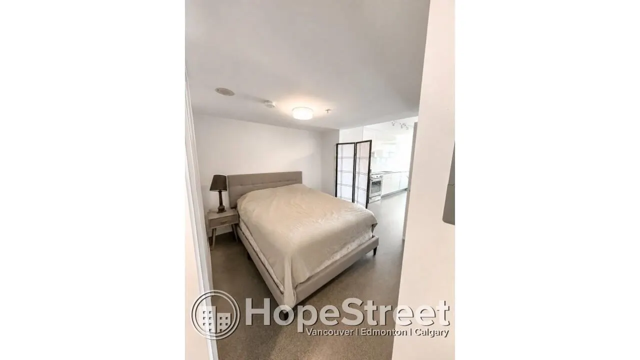 231 East Pender Street #605