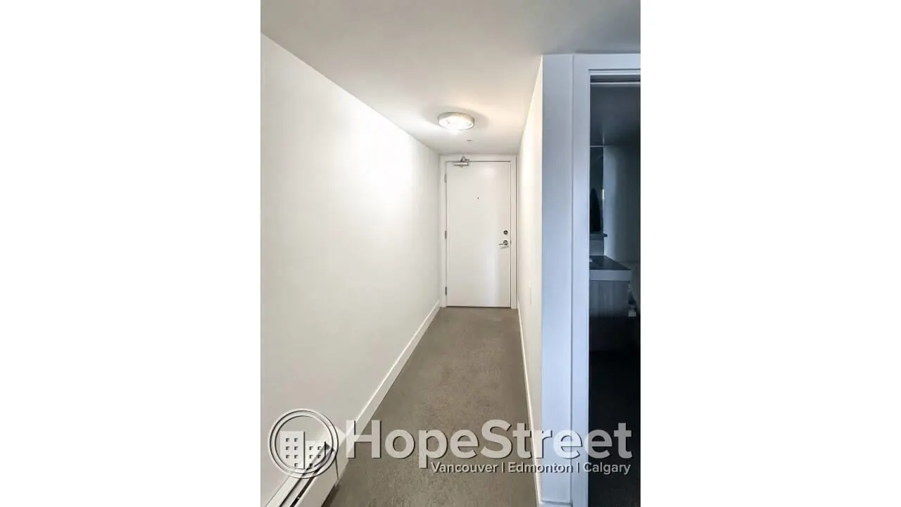 231 East Pender Street #605