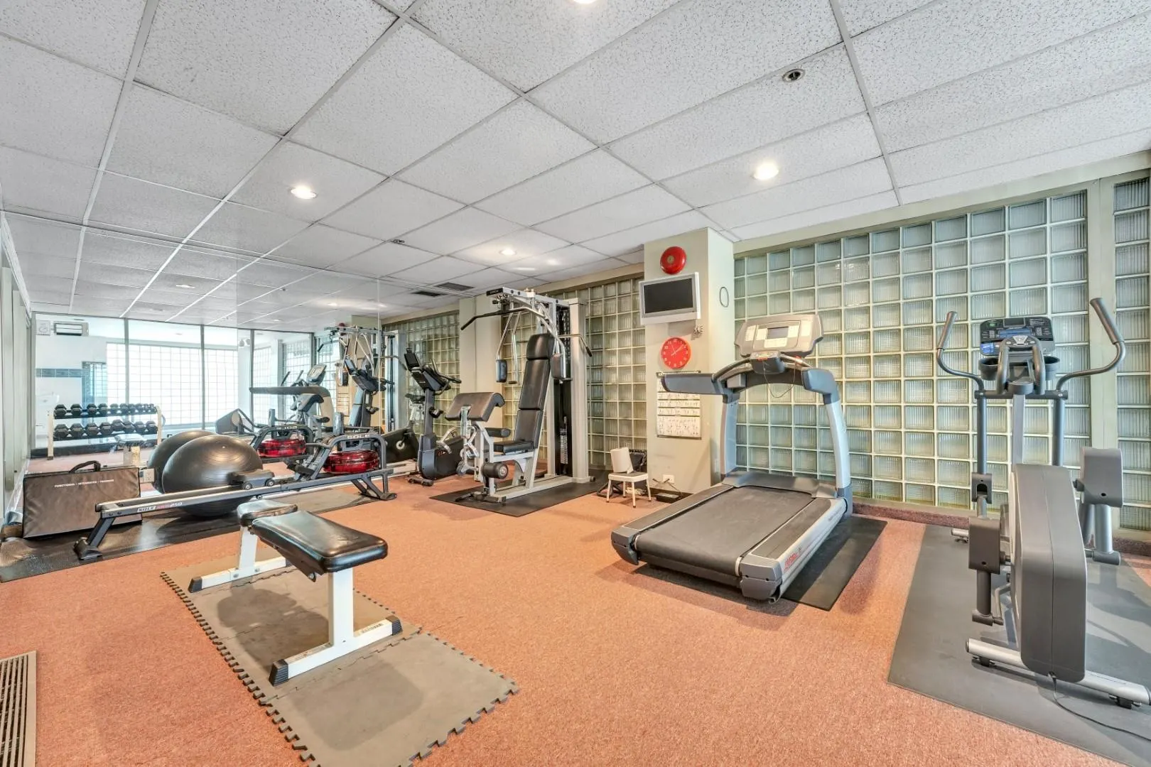 1675 Hornby Street #203