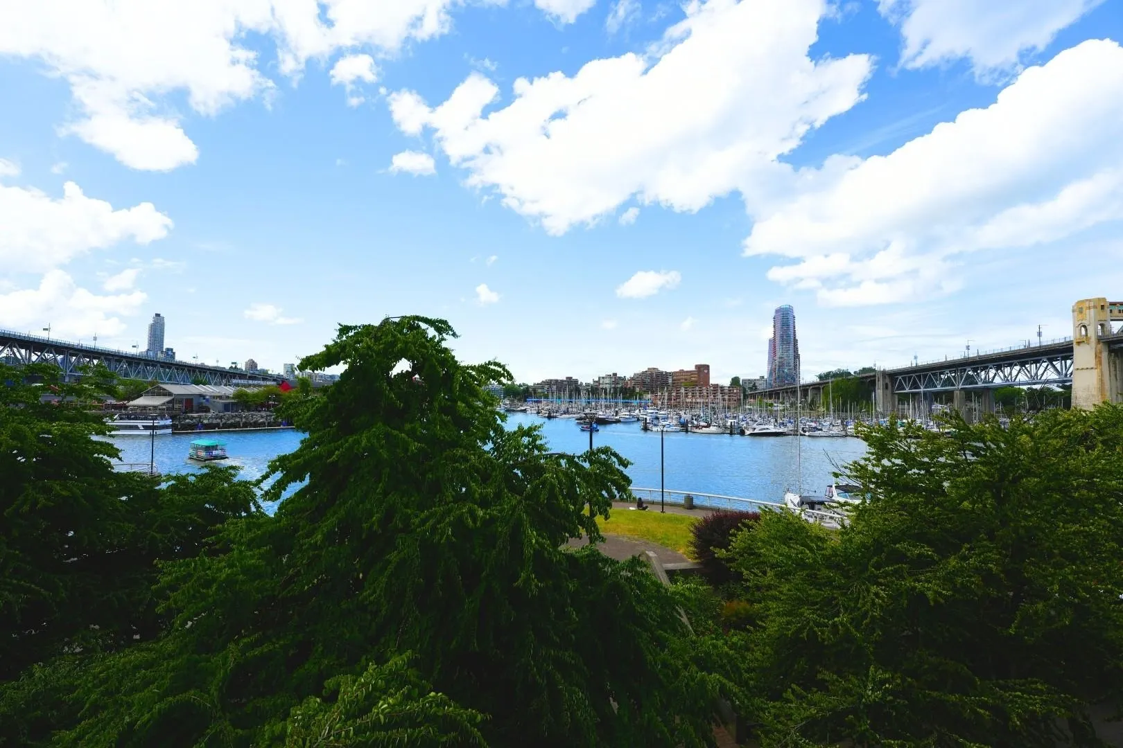 1675 Hornby Street #203