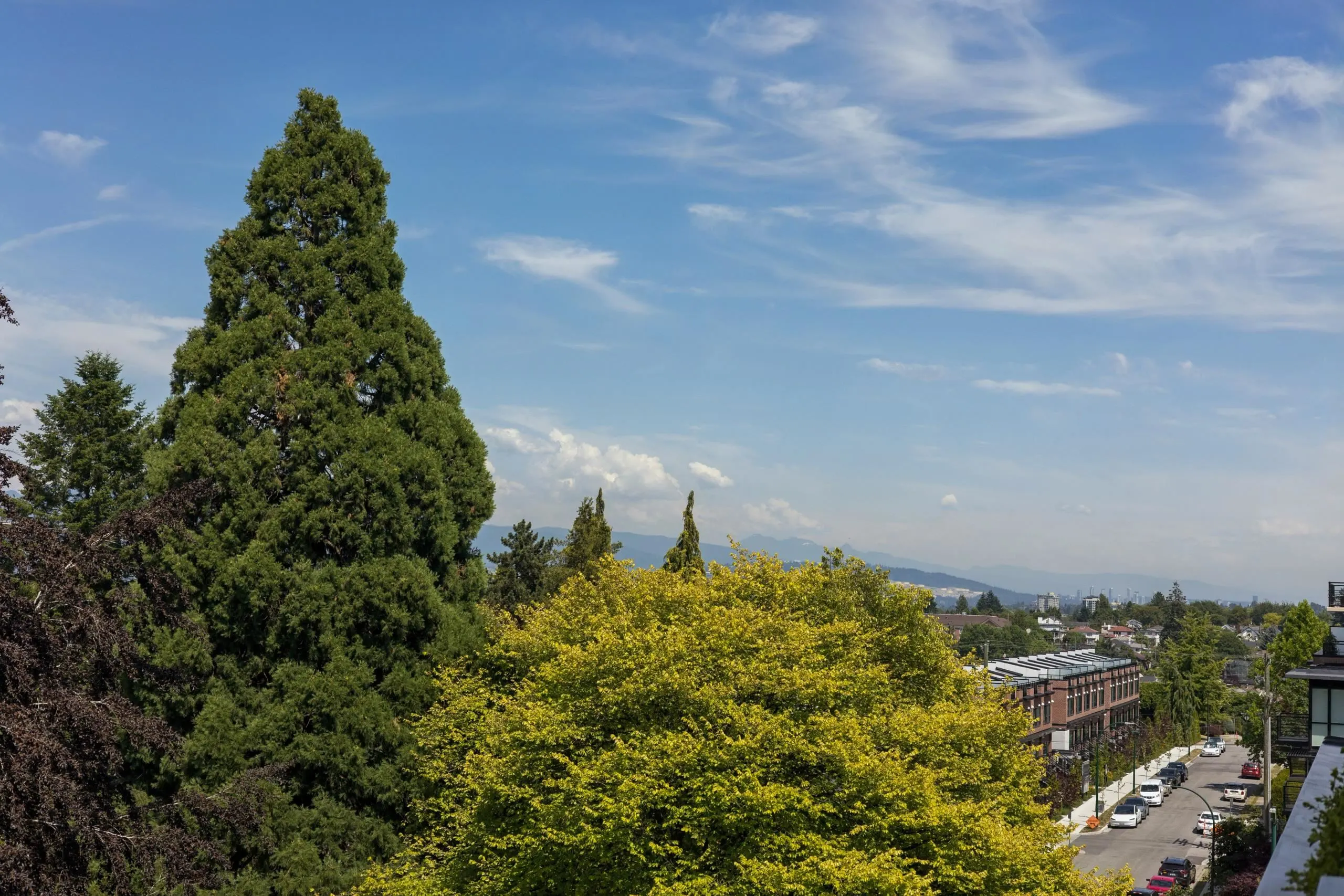 4427 Cambie Street #601