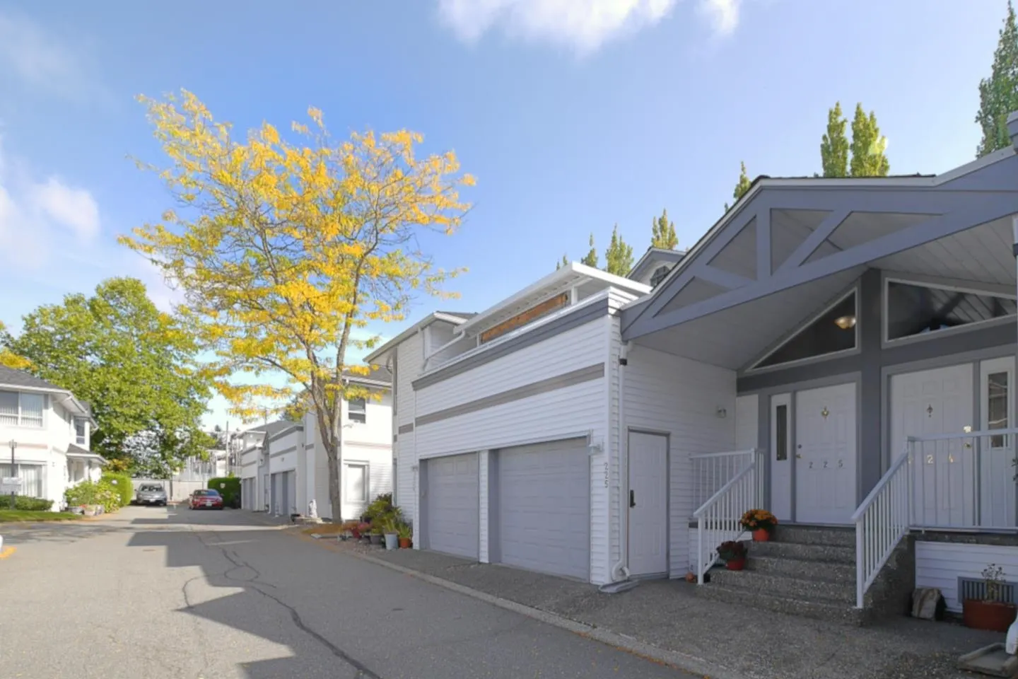13895 102 Avenue #225