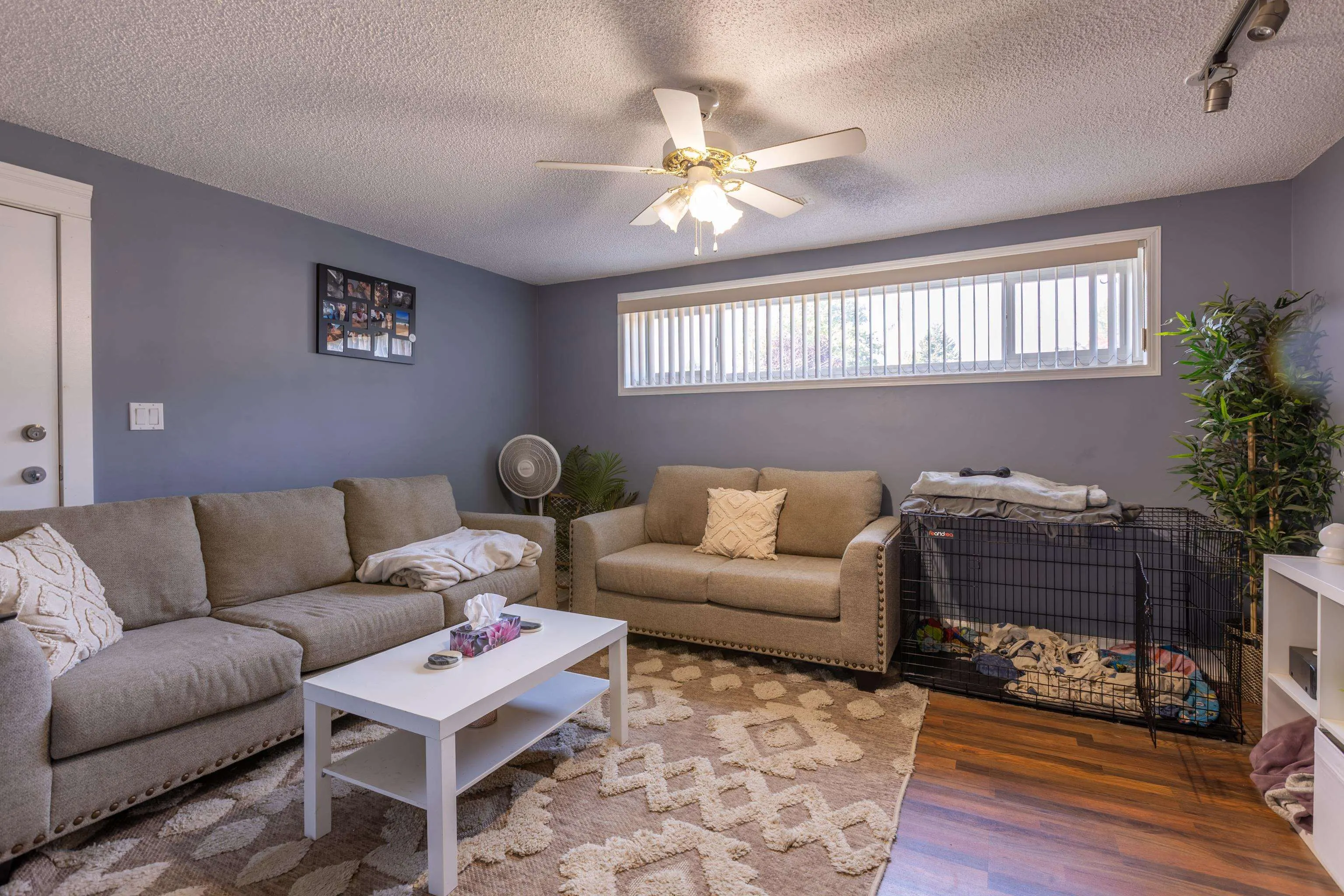 2164 Opal Place