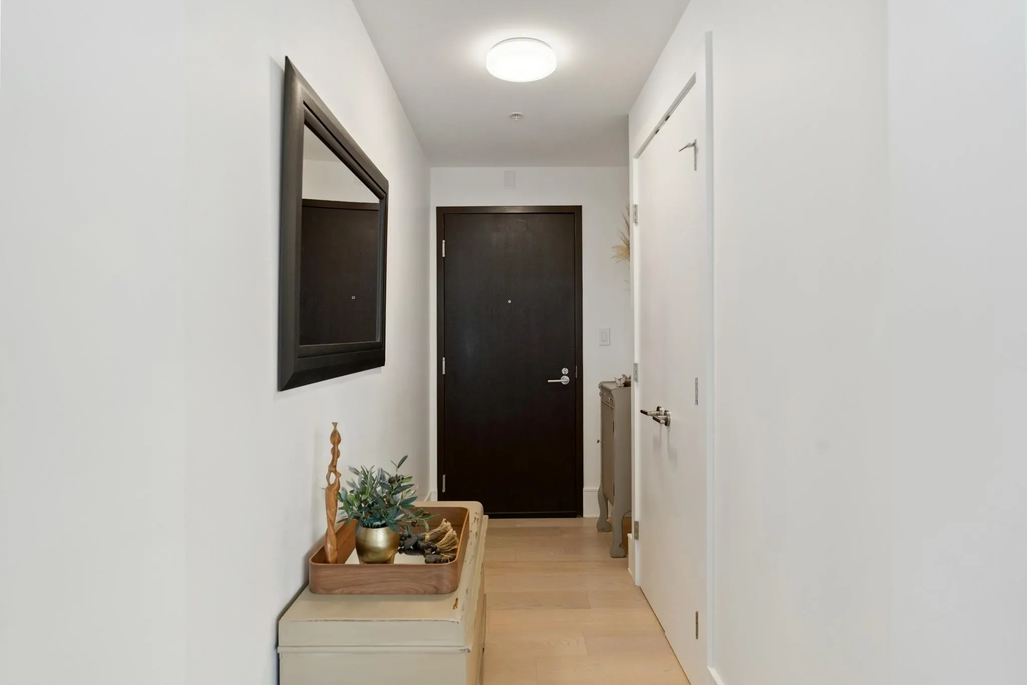 1500 Martin Street #1504