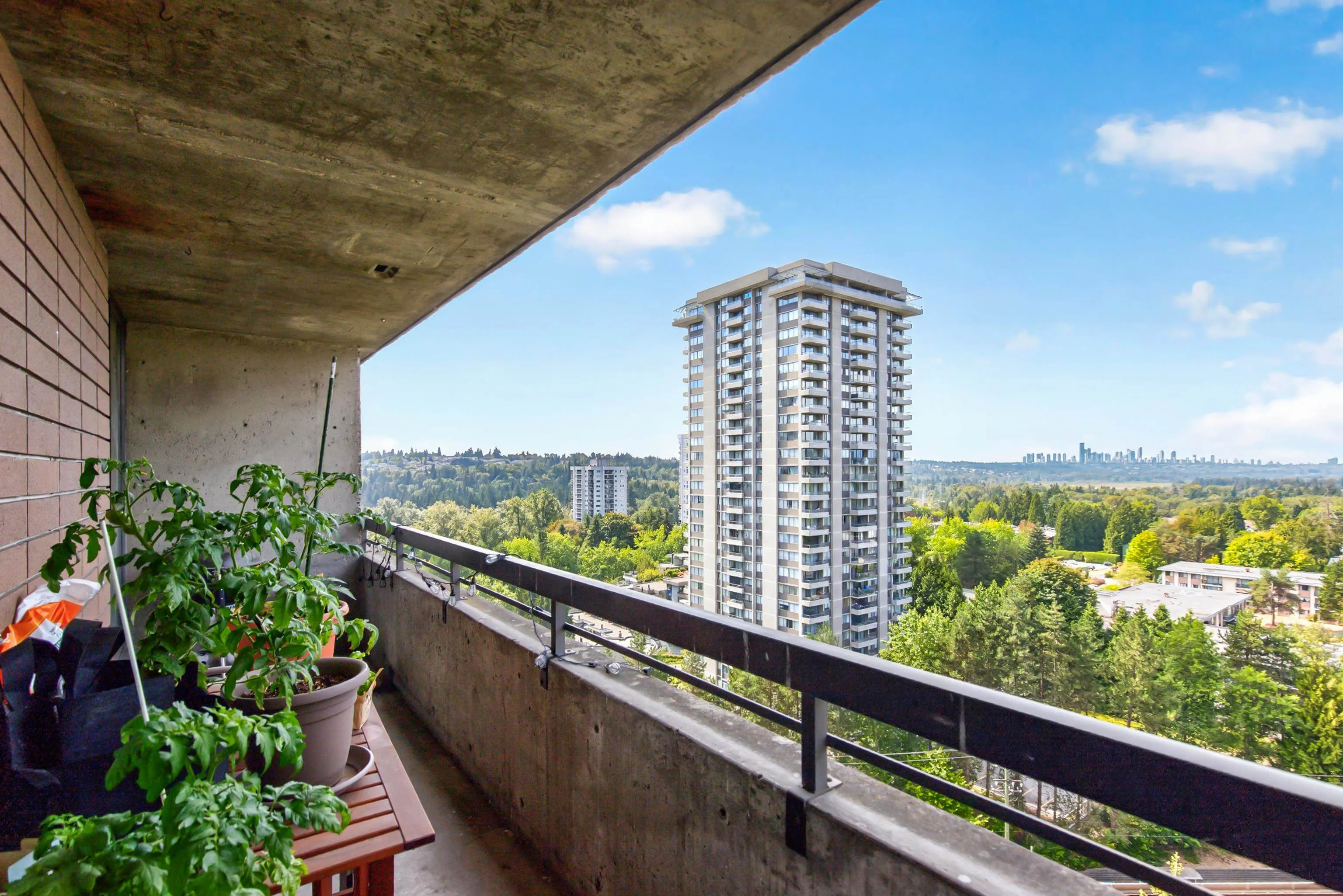 3771 Bartlett Court #1601