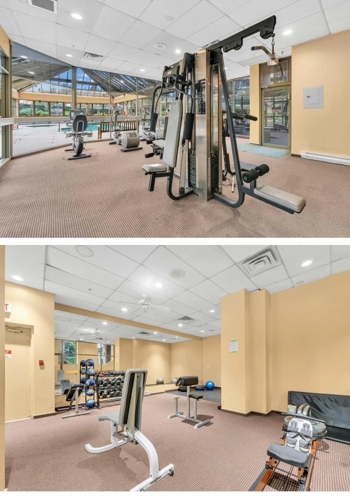 5885 Olive Avenue #2301