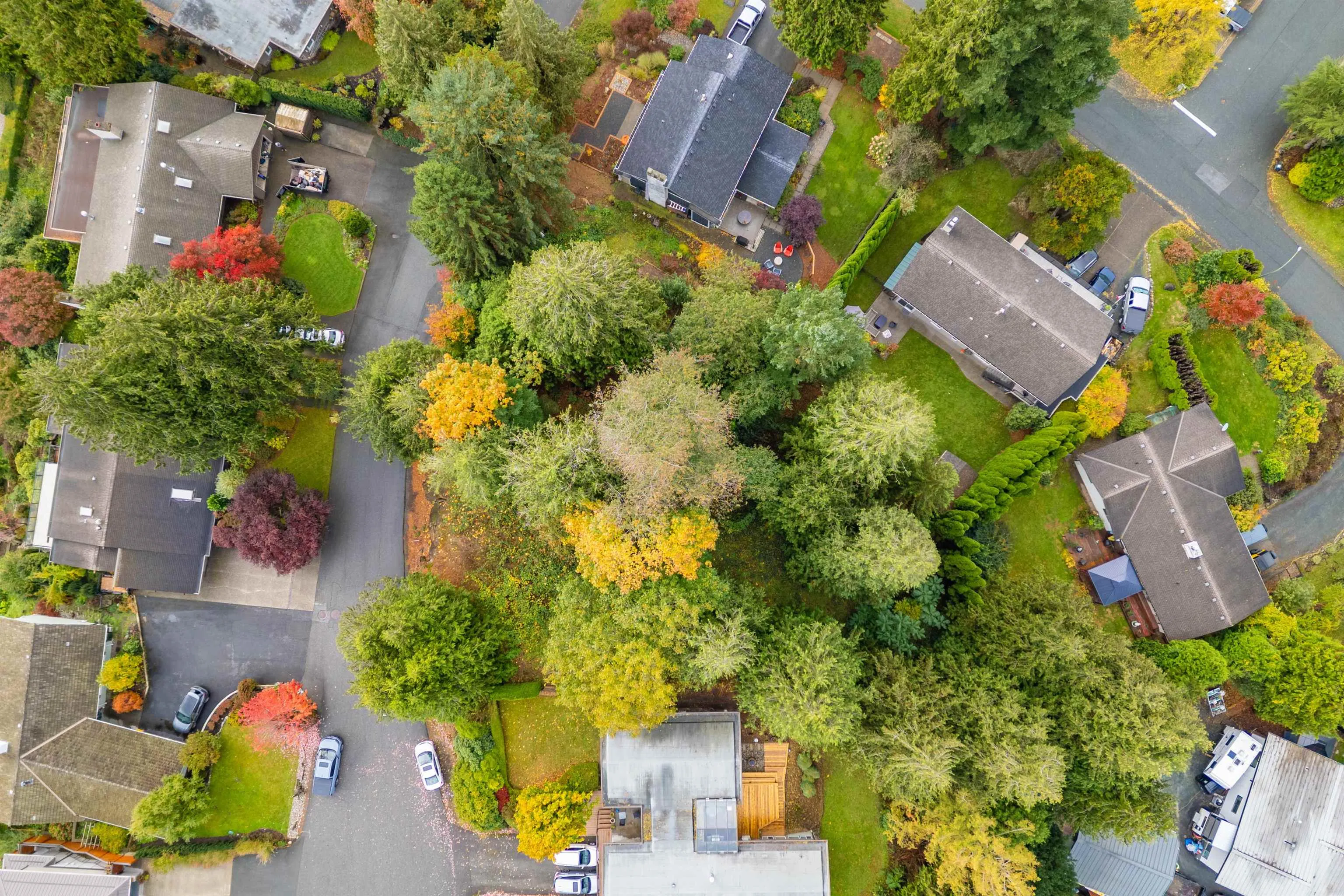 10035 Timberline Place