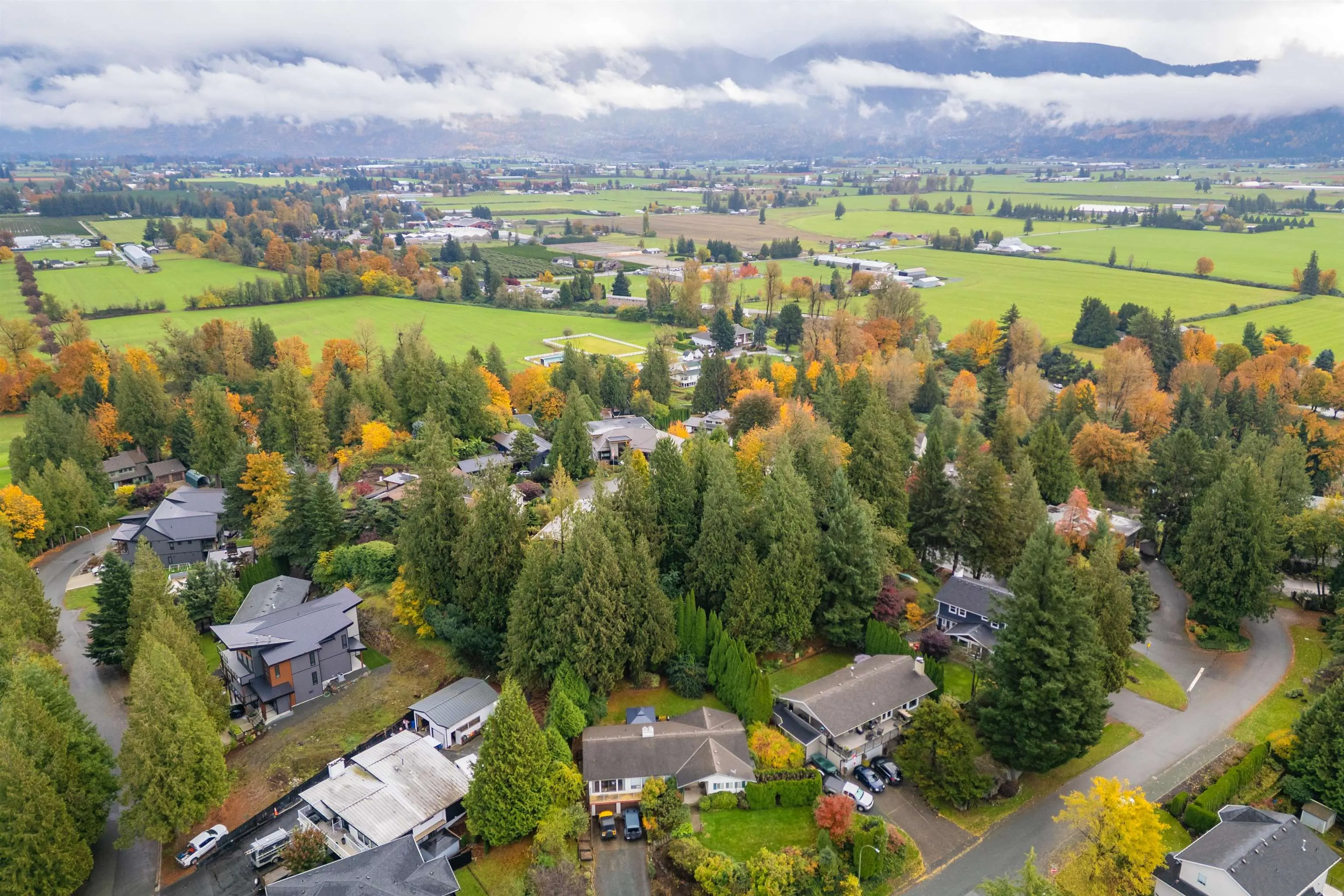10035 Timberline Place