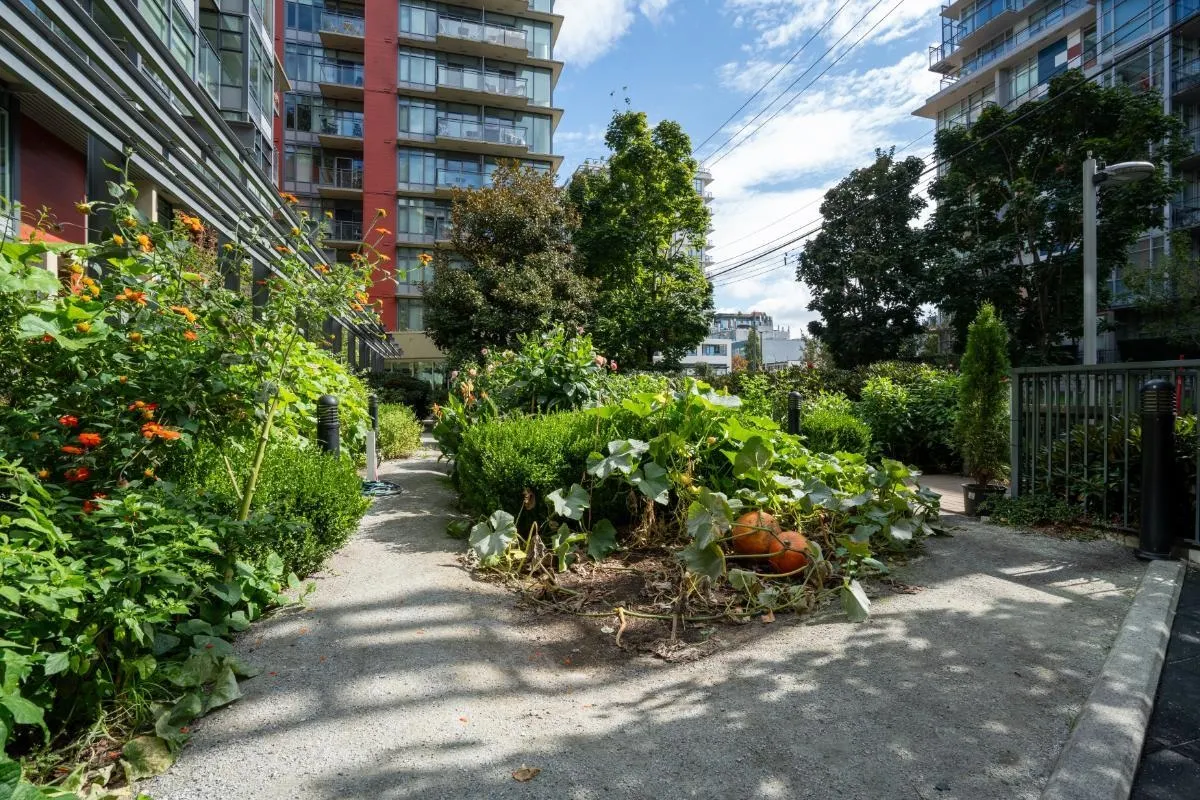 38 W 1st Avenue #906