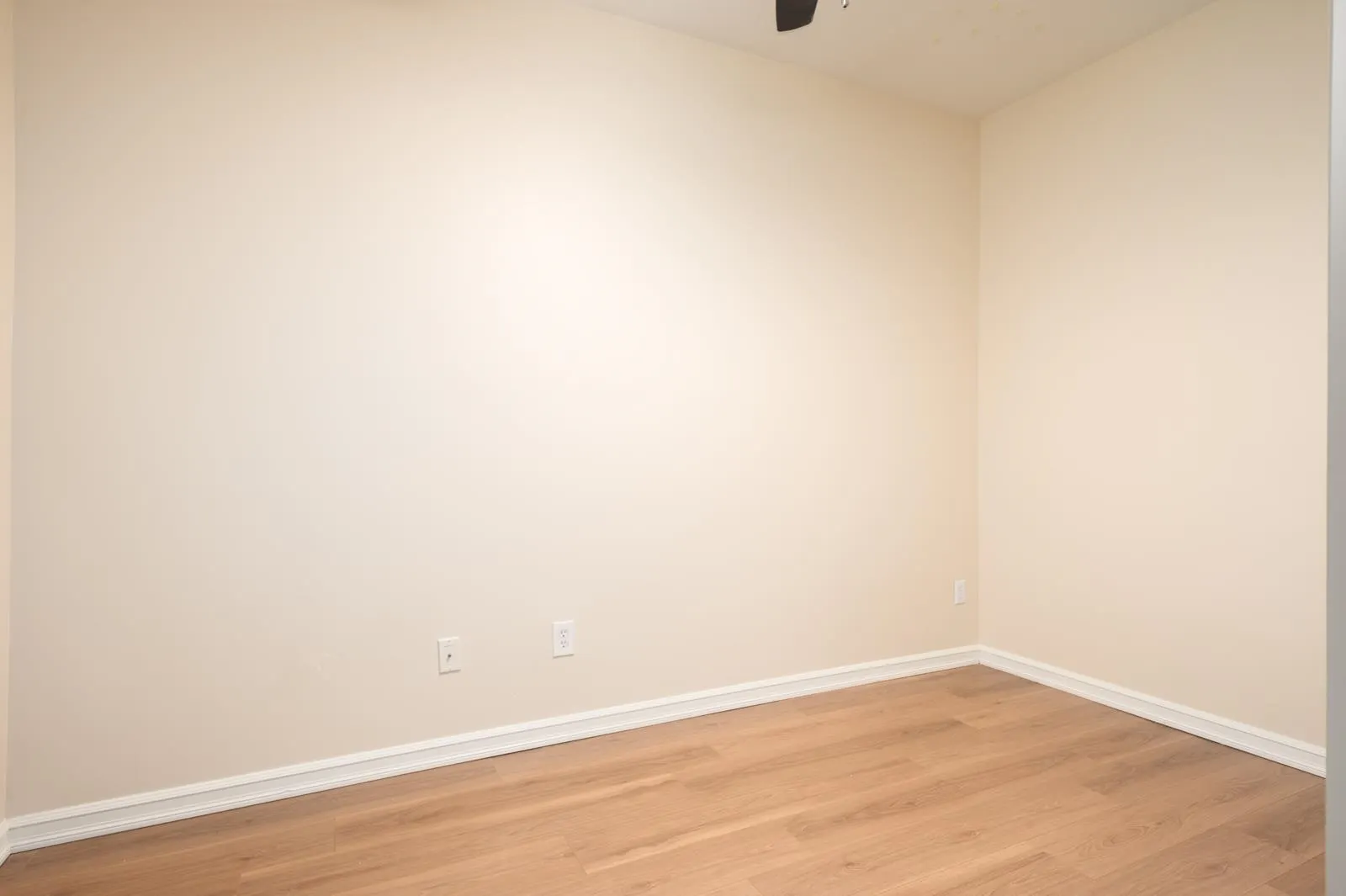 10088 148 Street #411