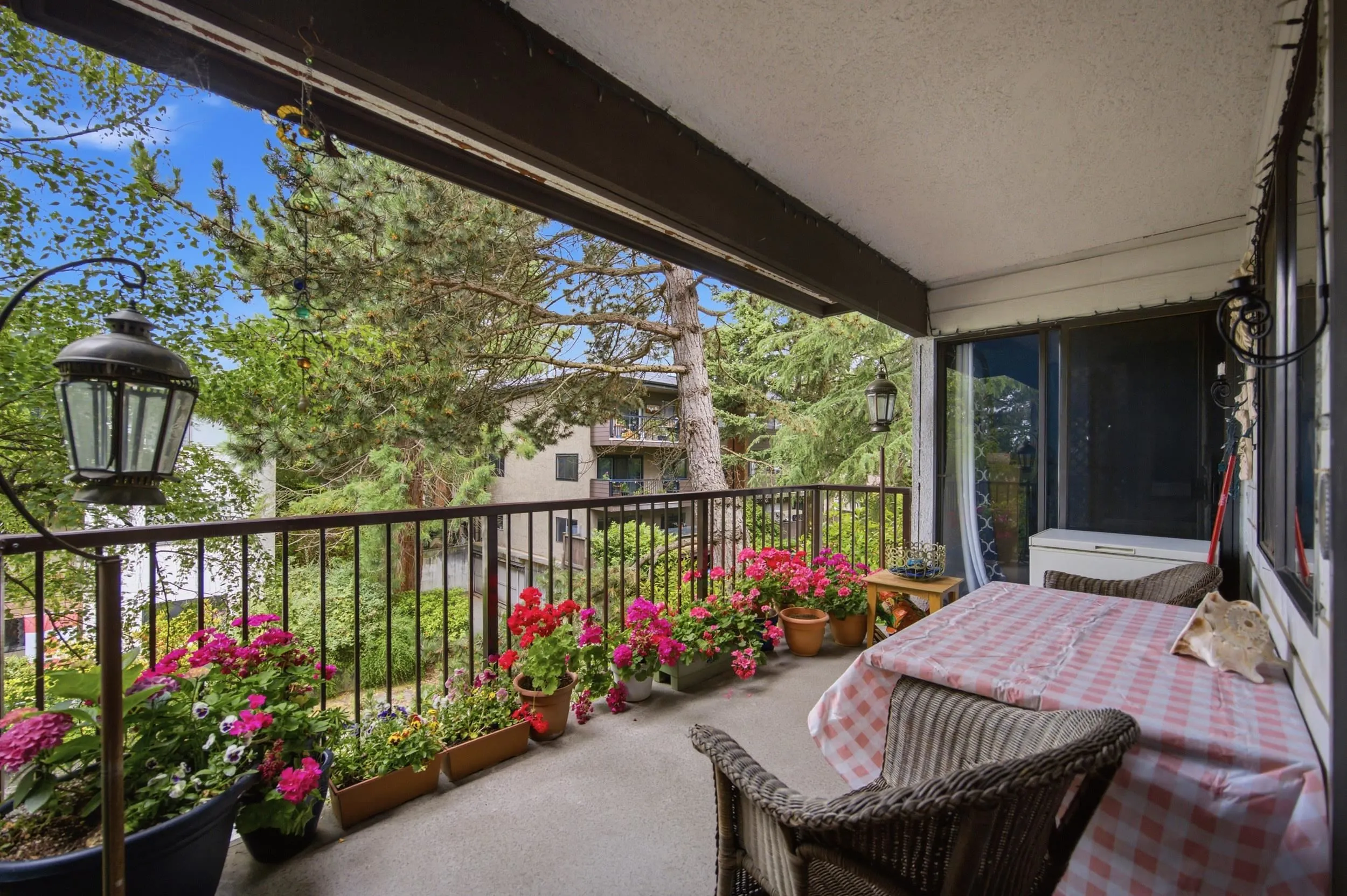 1555 Fir Street #206