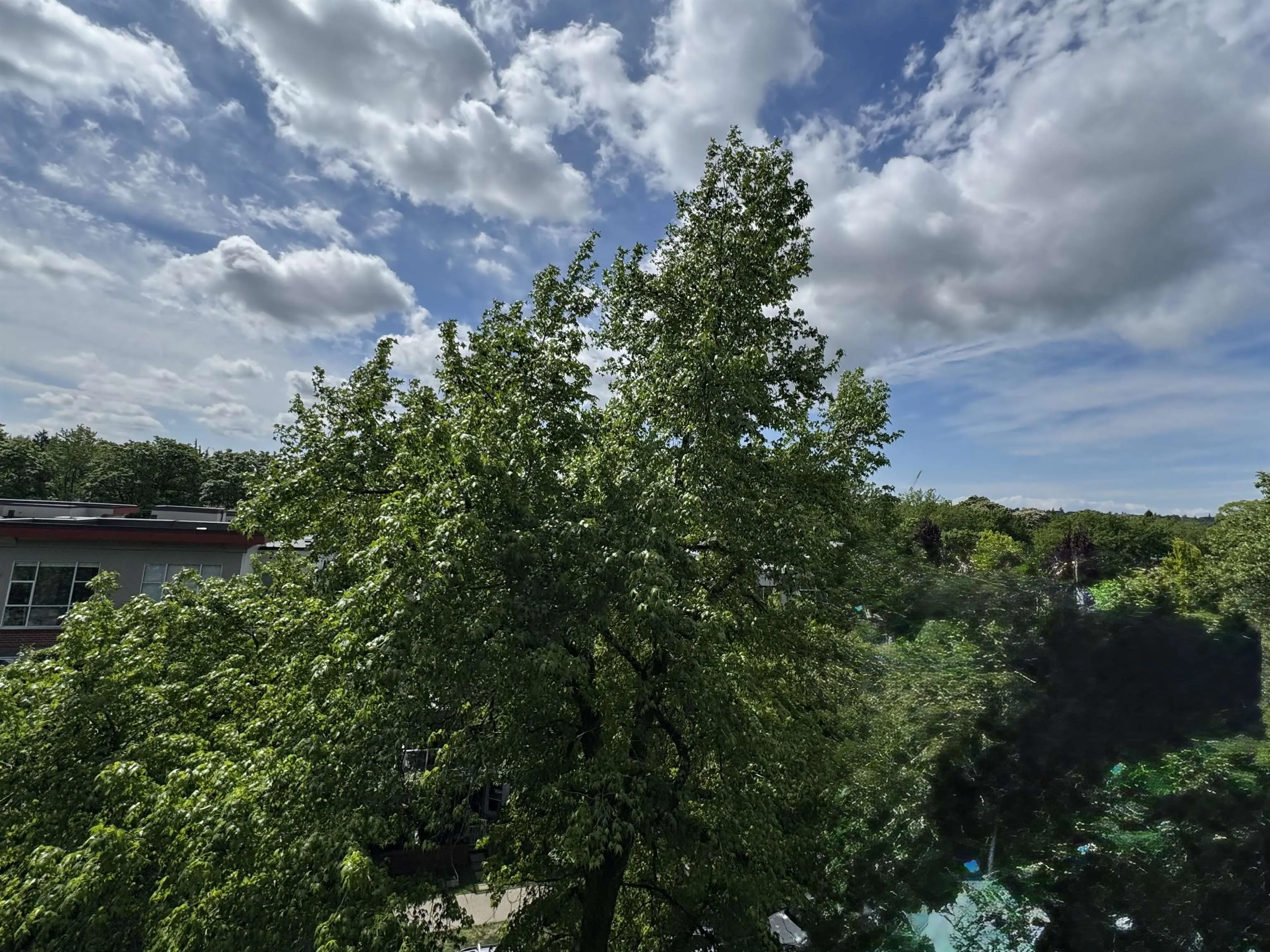 2268 Redbud Lane #510