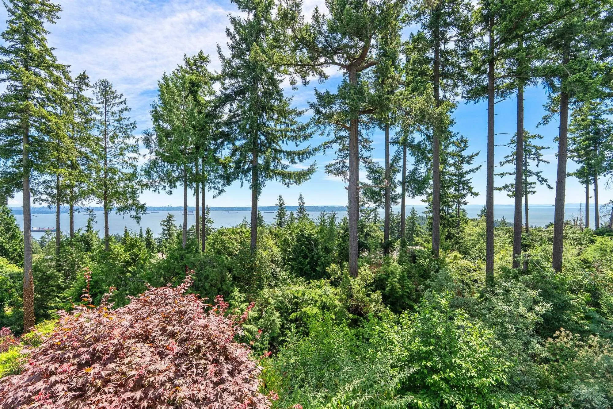 5402 West Vista Court #2