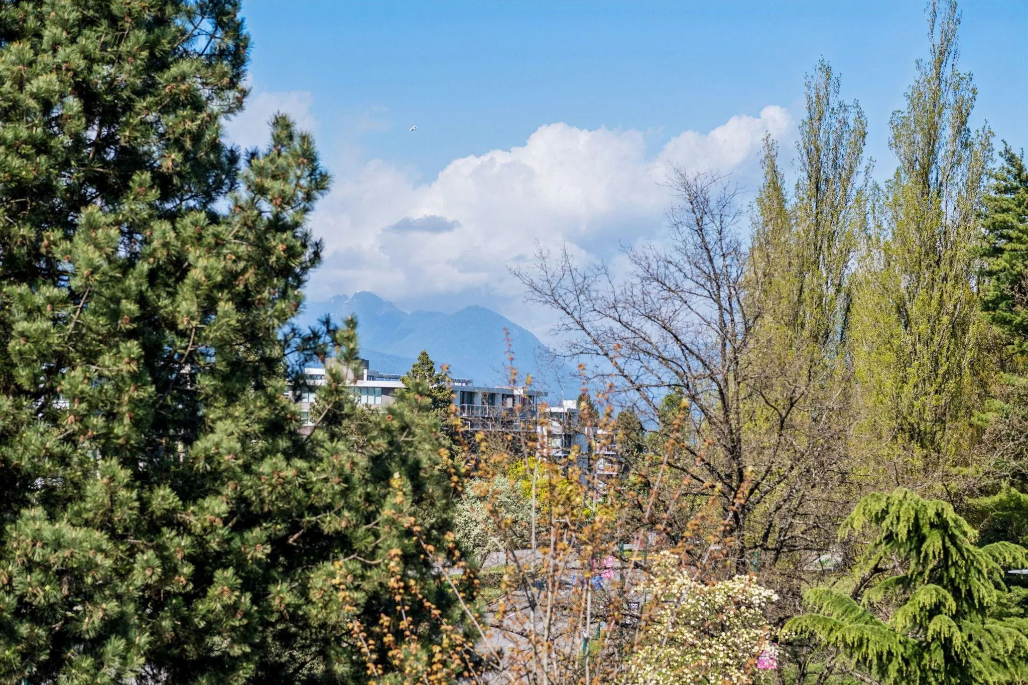 4867 Cambie Street #509