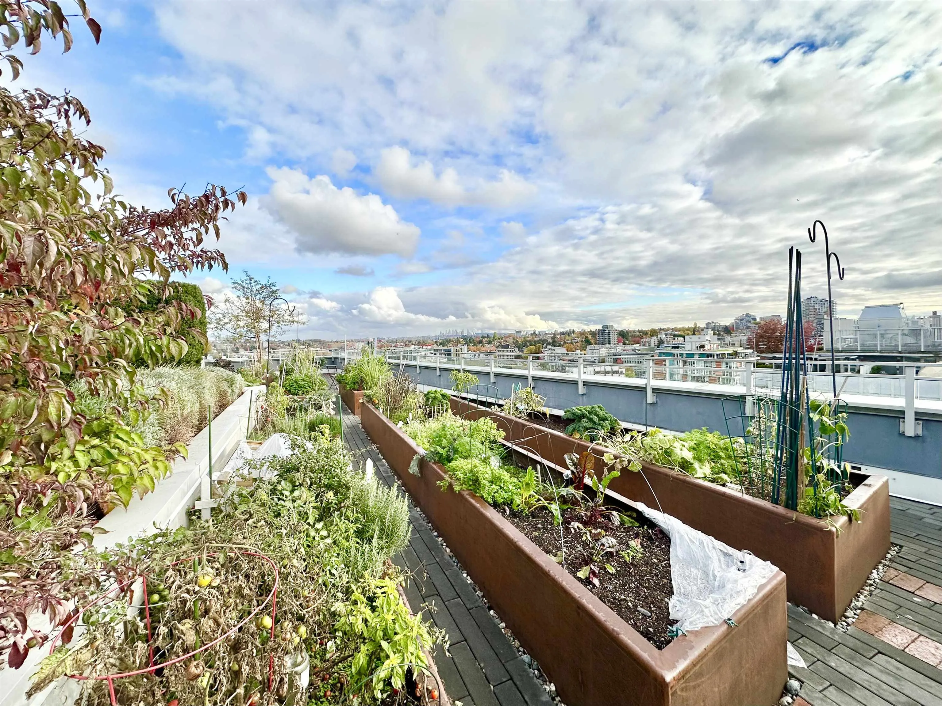 111 1st E Avenue #1103