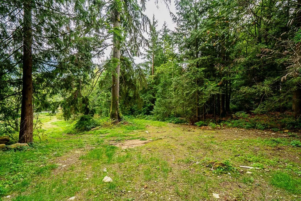 12241 Stave Lake Road
