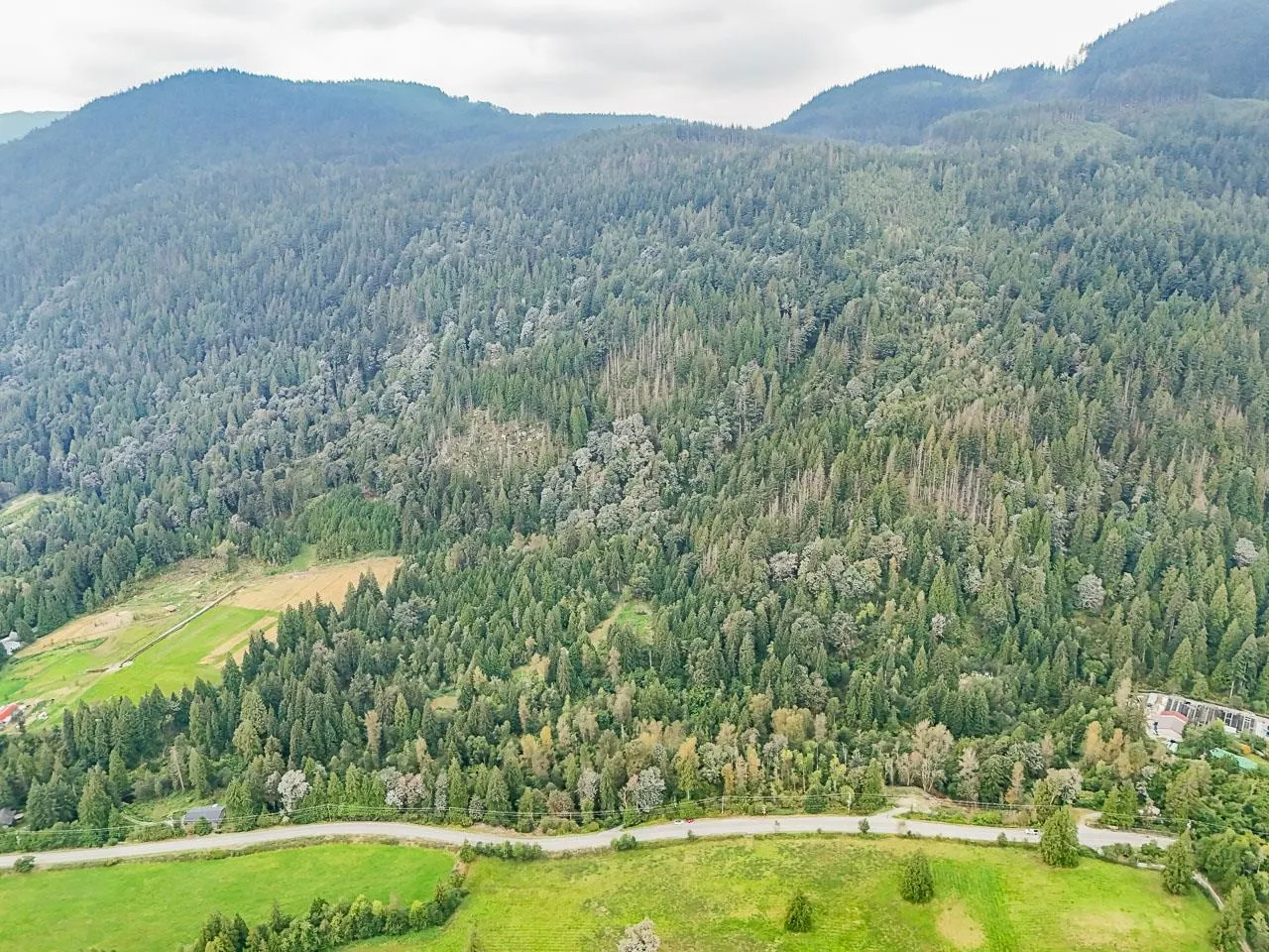 12241 Stave Lake Road