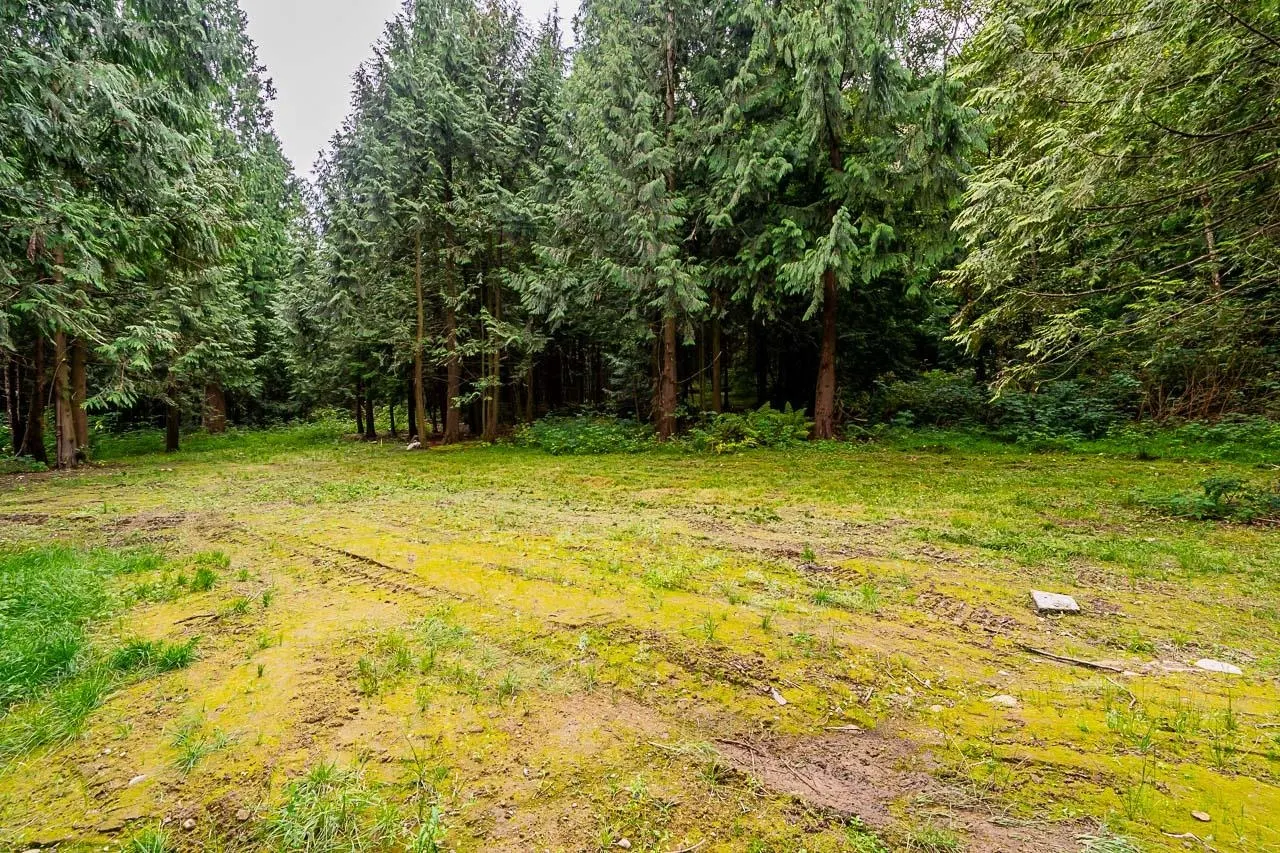 12241 Stave Lake Road