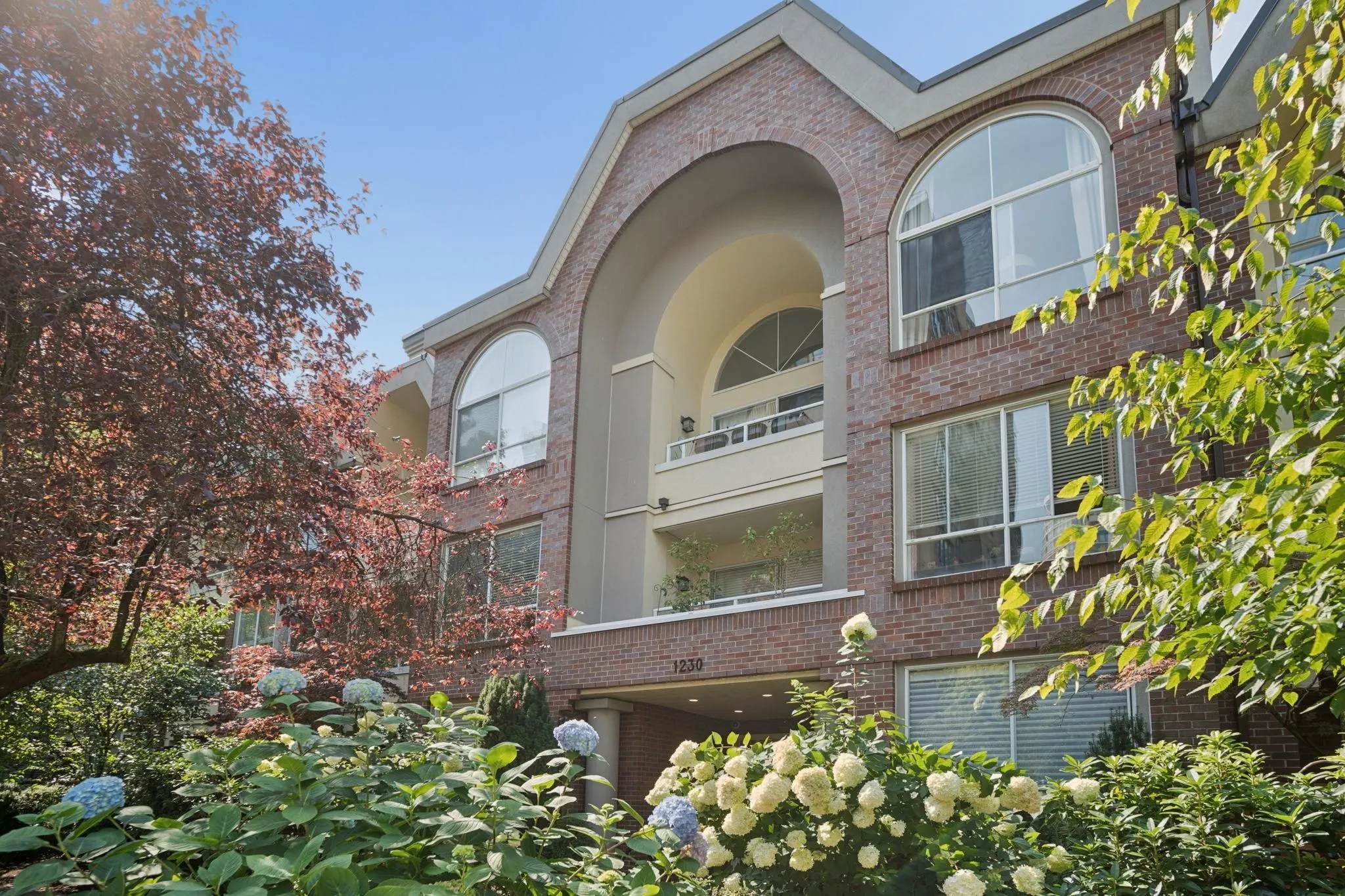 1230 Haro Street #216