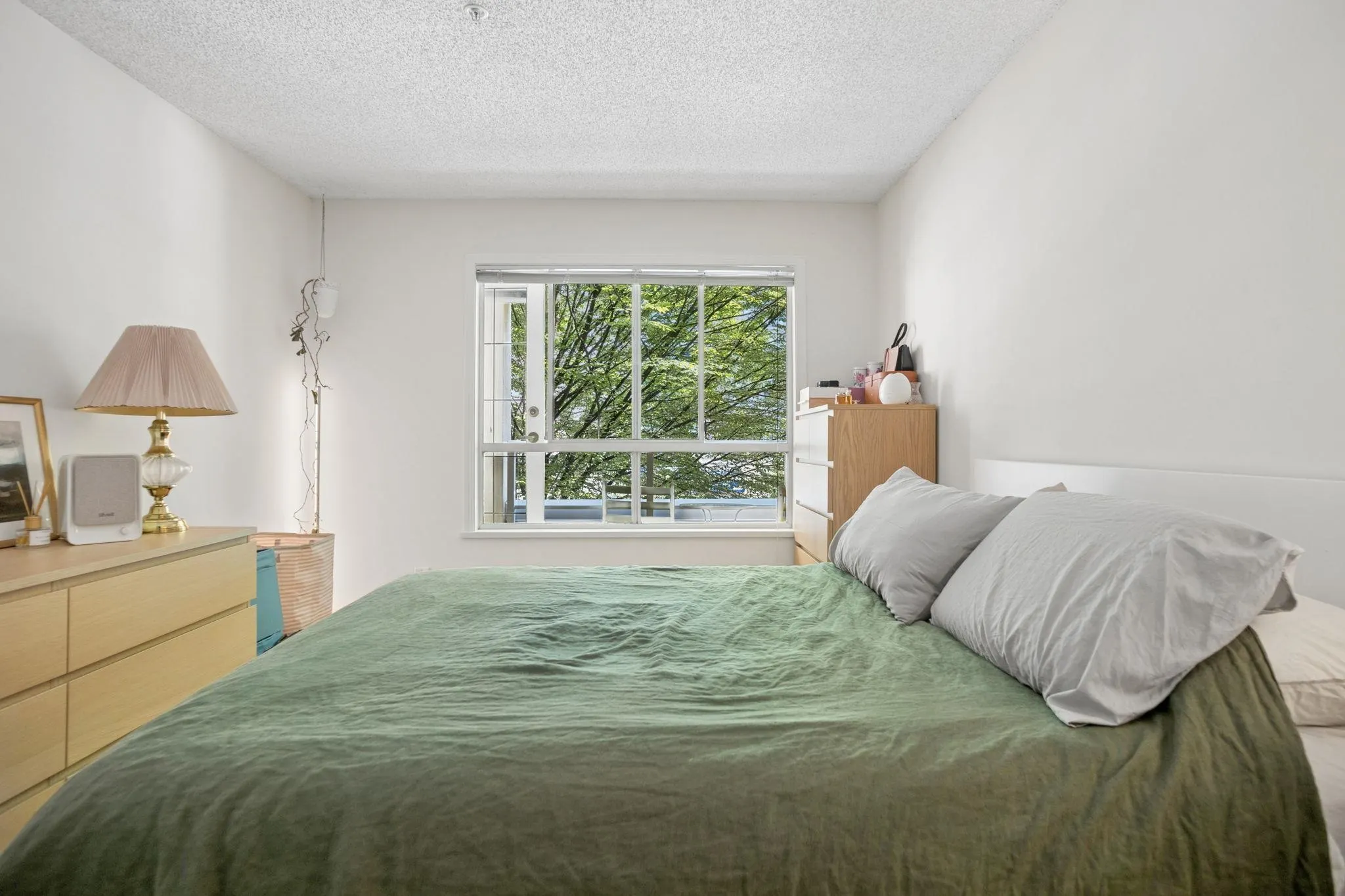 1230 Haro Street #216