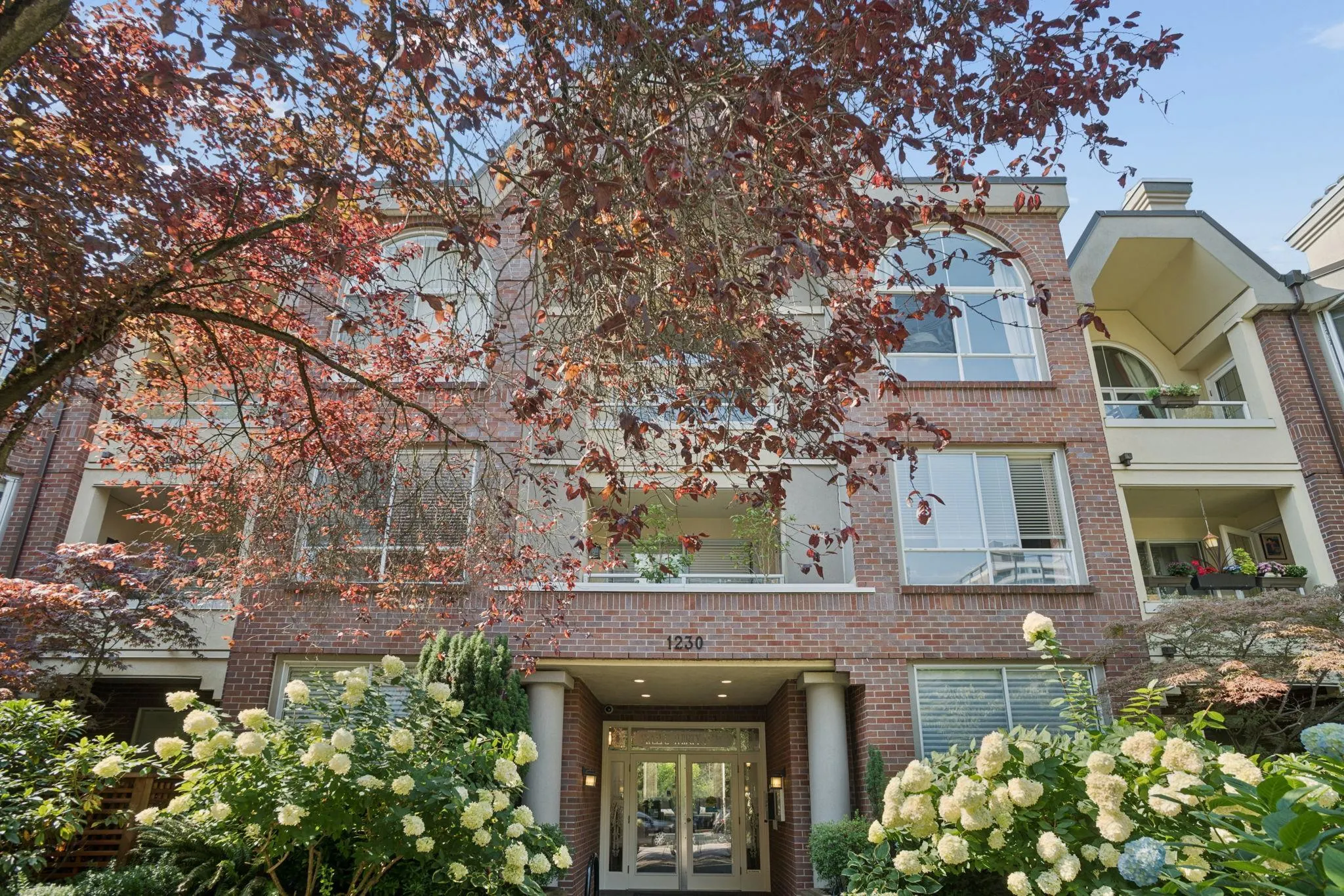 1230 Haro Street #216