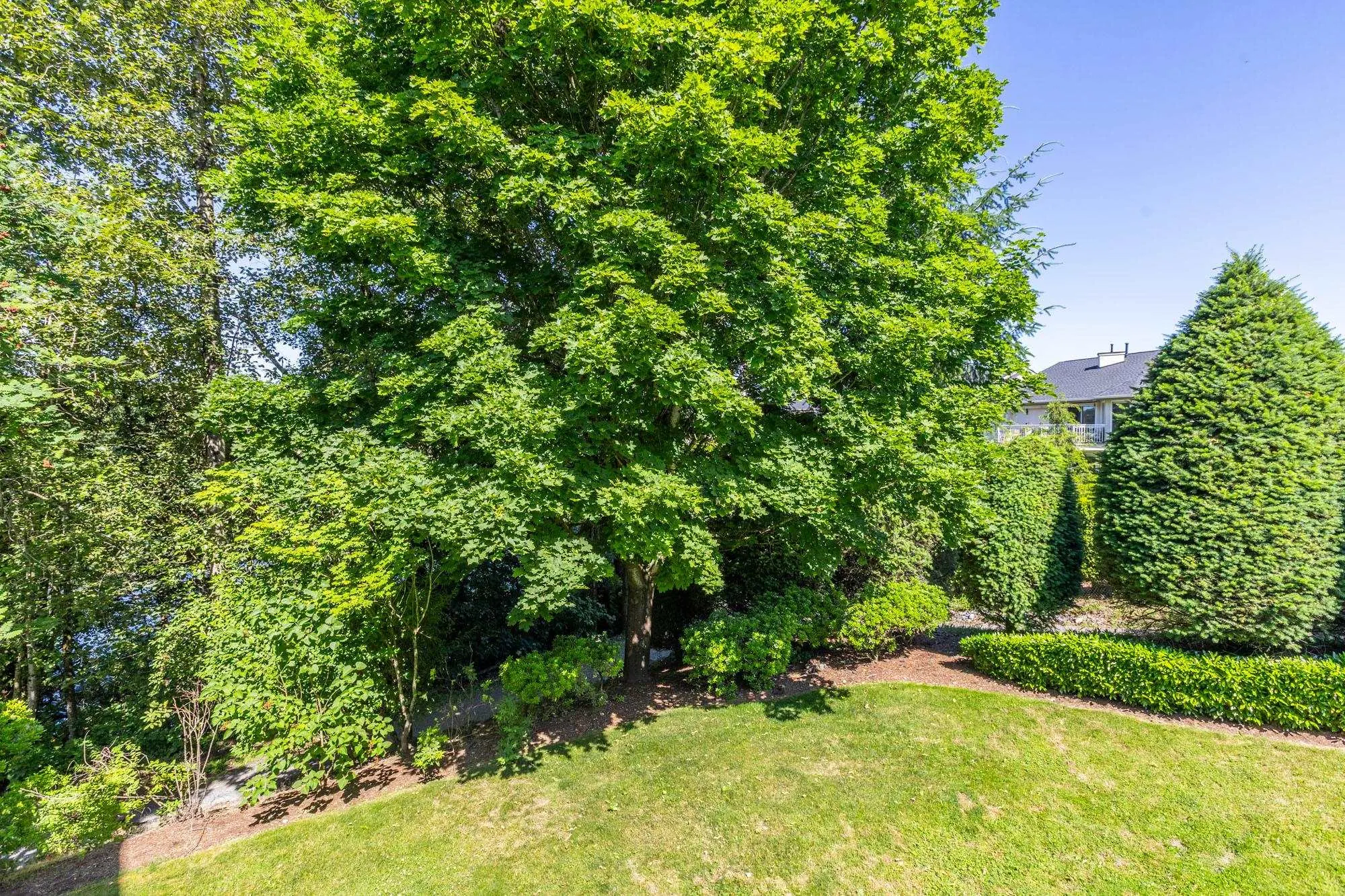 31501 Upper Maclure Road #13