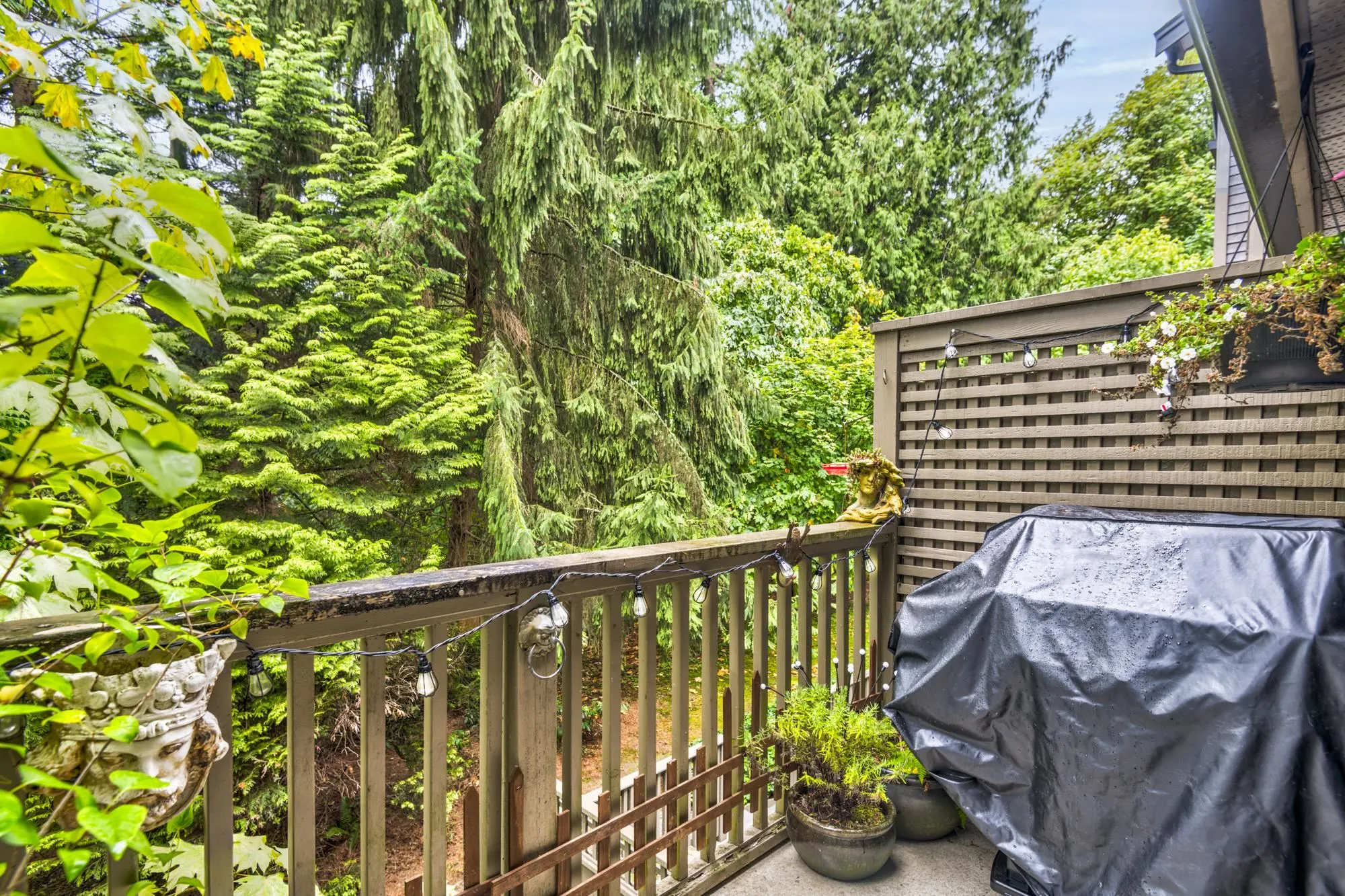 795 Noons Creek Drive #39