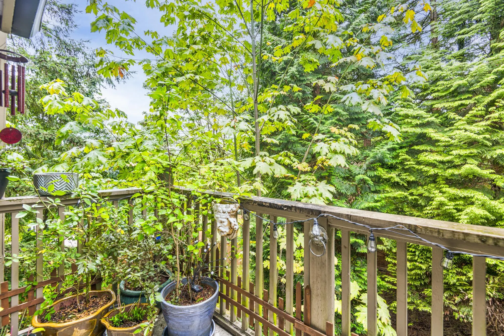 795 Noons Creek Drive #39