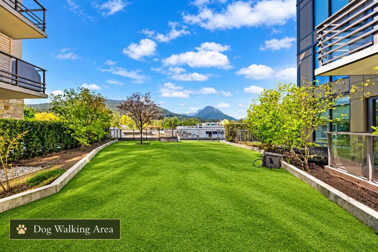 2707 Library Lane #305