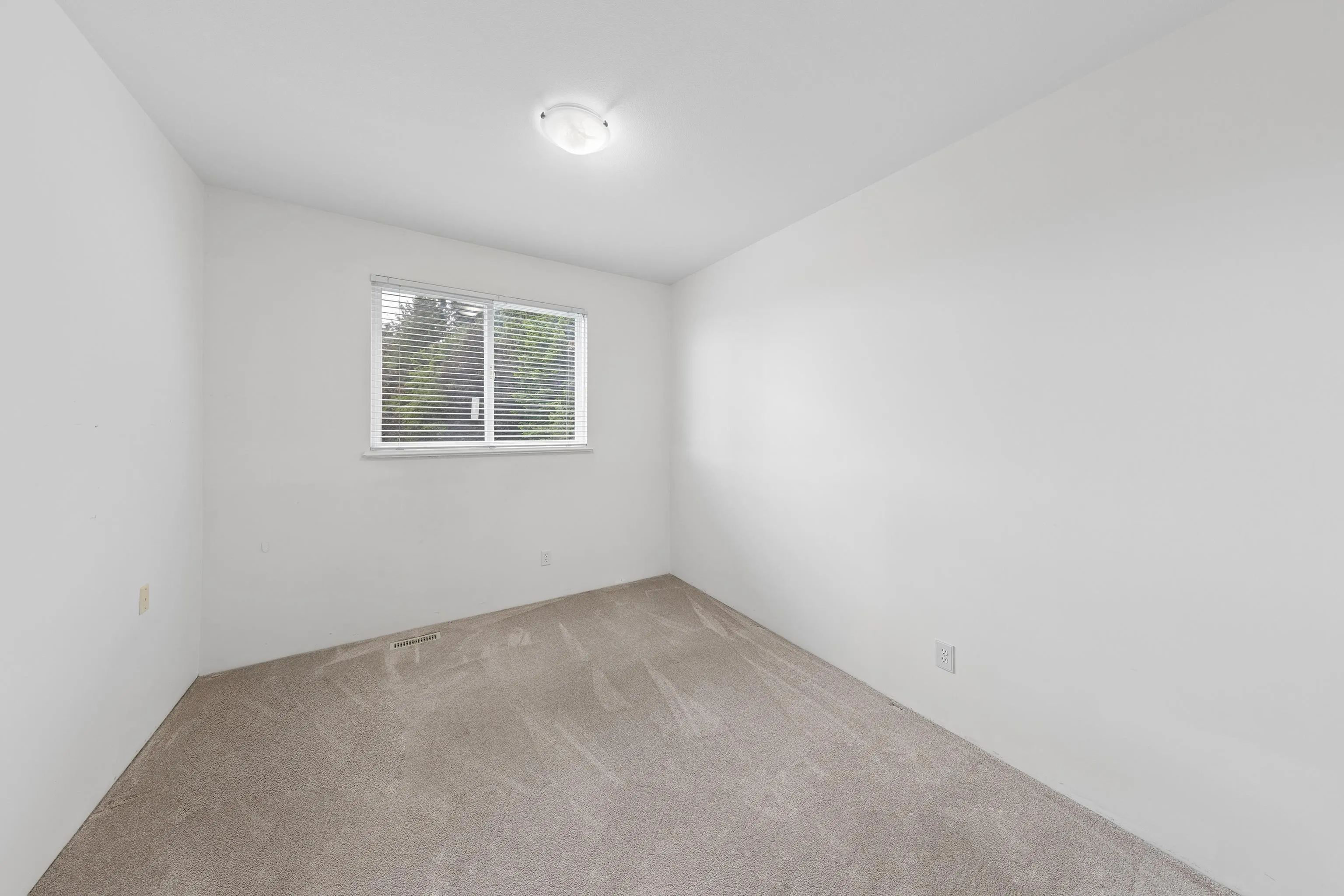 122 Chestnut Court
