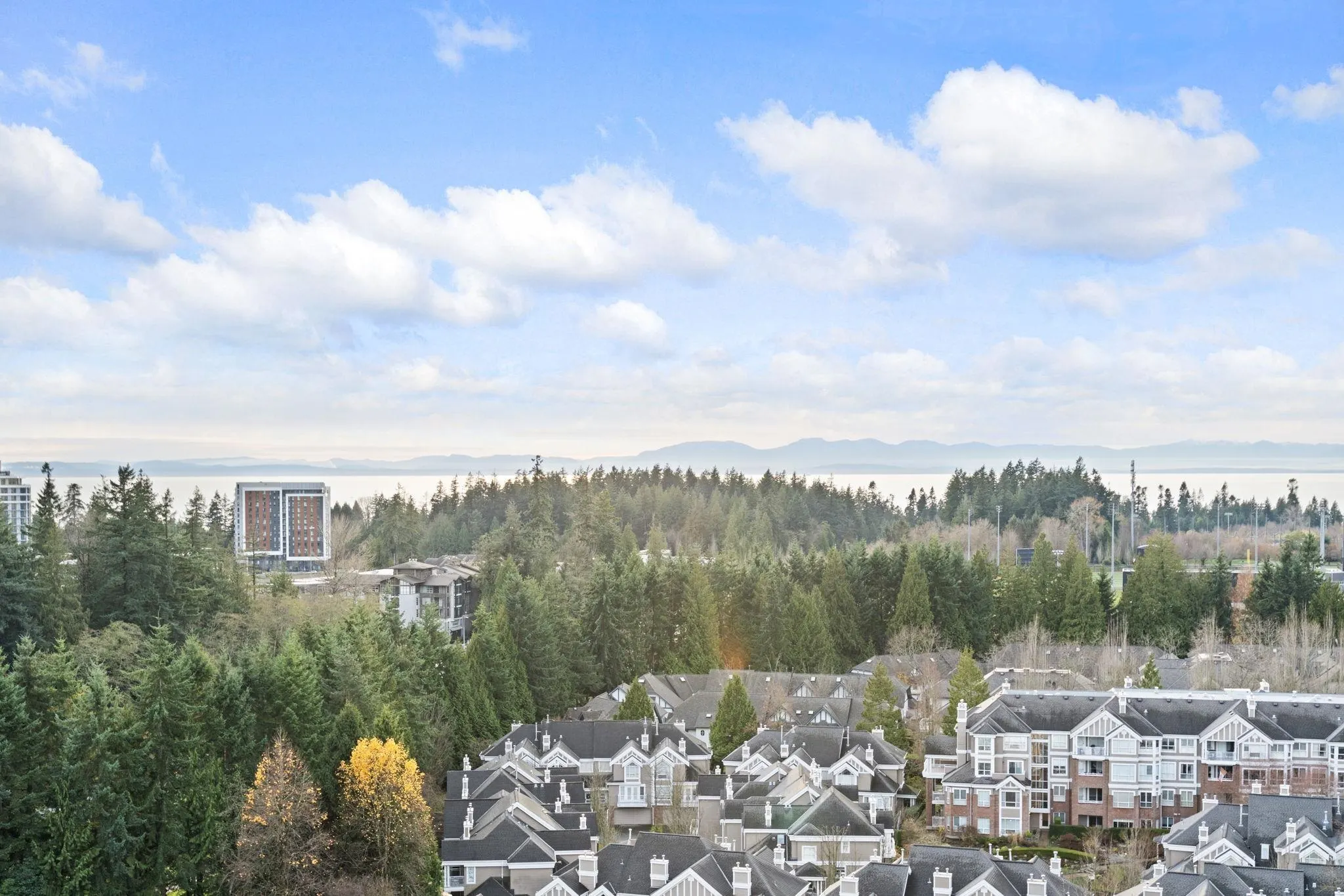 5615 Hampton Place #1700