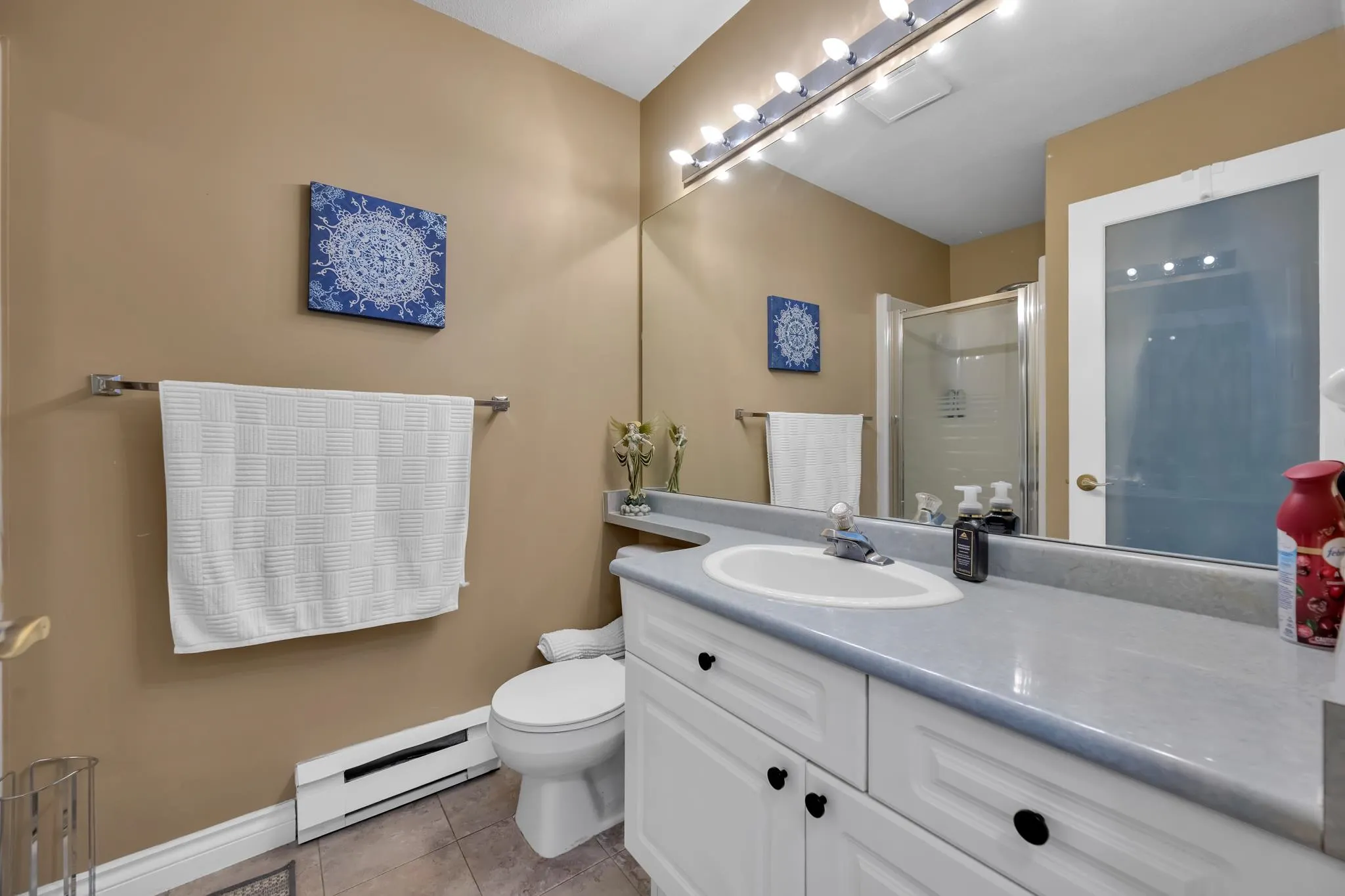 20443 53 Avenue #409