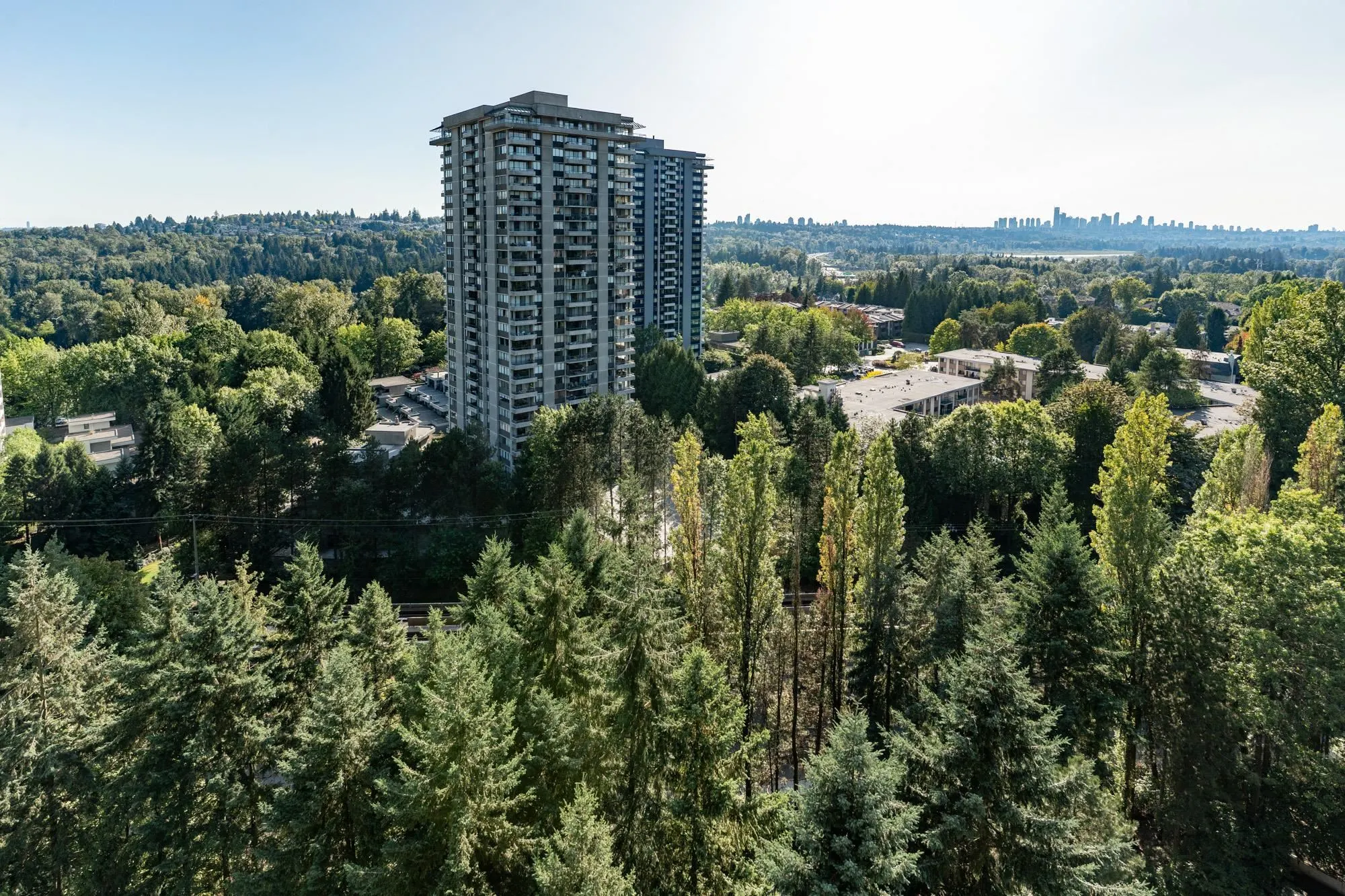 3755 Bartlett Court #1803