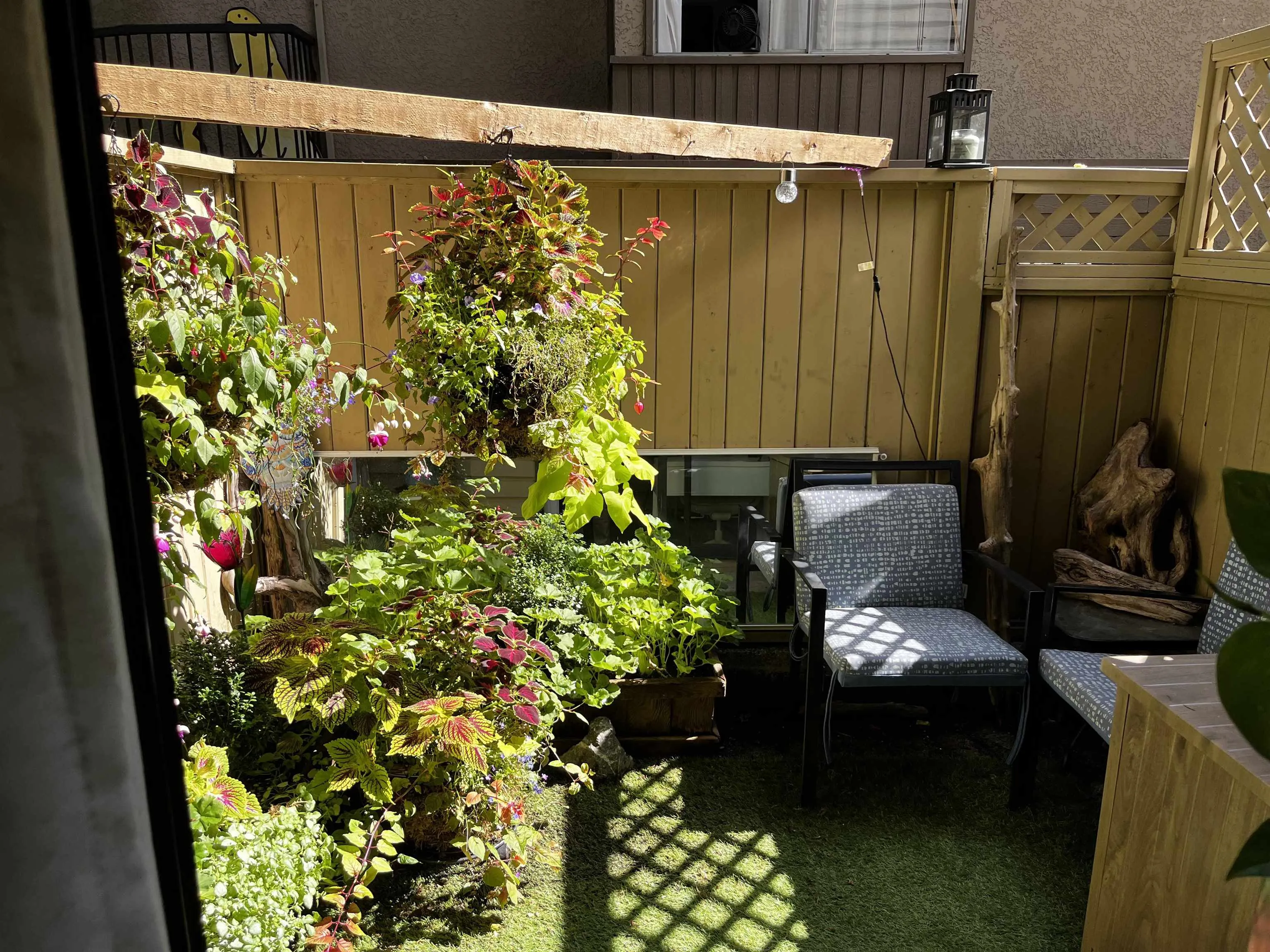 2234 Prince Albert Street #102