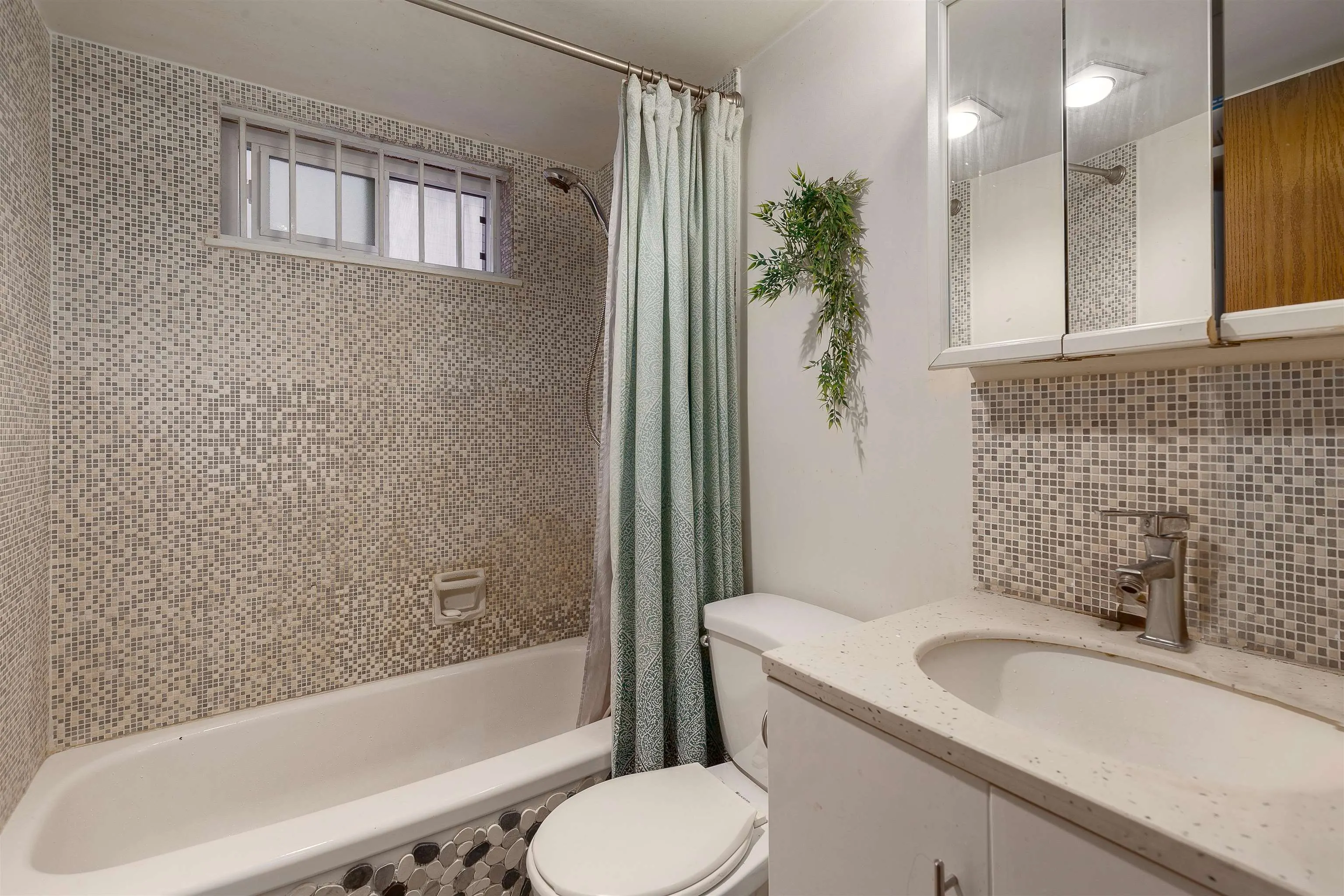 2234 Prince Albert Street #102